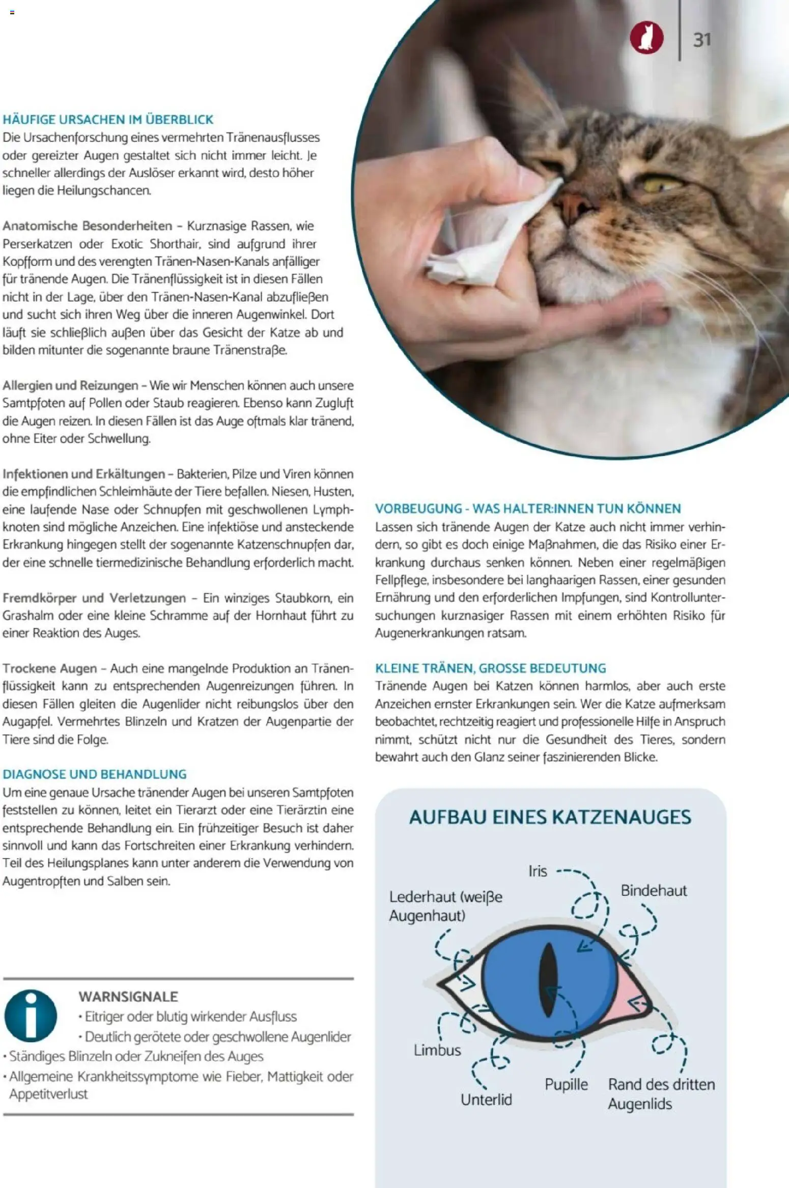zookauf - Heimtier Journal – gültig ab 01.12.2025 | Seite: 31