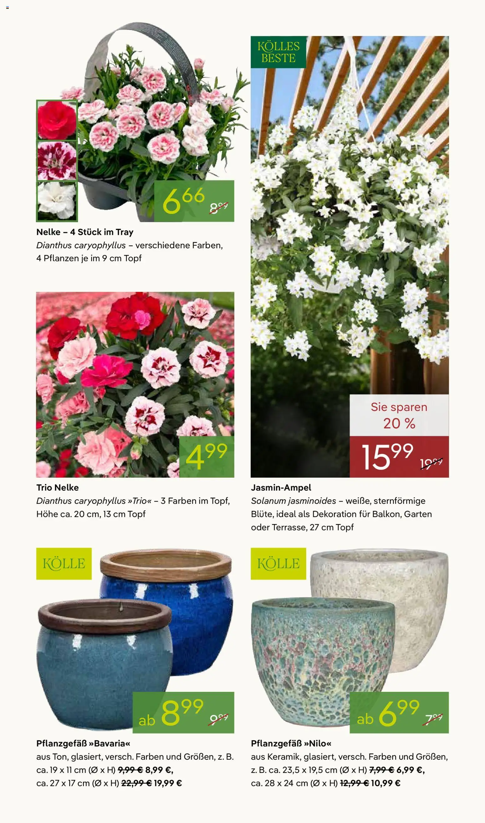 Pflanzen-Kölle Prospekt 	 – gültig ab 07.04.2026 | Seite: 5