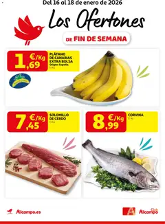 Vista previa Alcampo - Pasamanos  válido desde el 16.01.2026