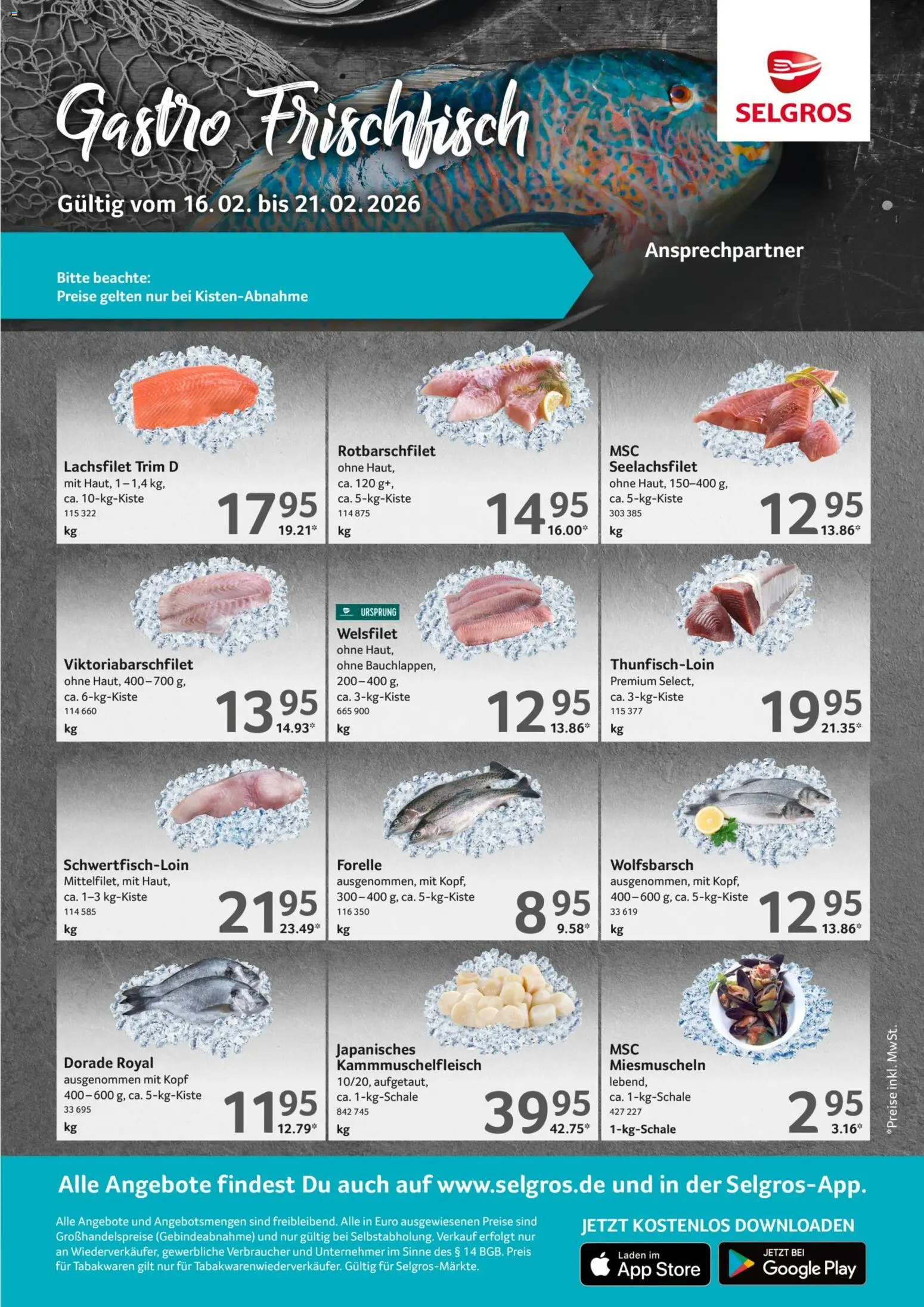 Selgros Frischeangebot – gültig ab 16.02.2026 | Seite: 3 | Produkte: Dorade