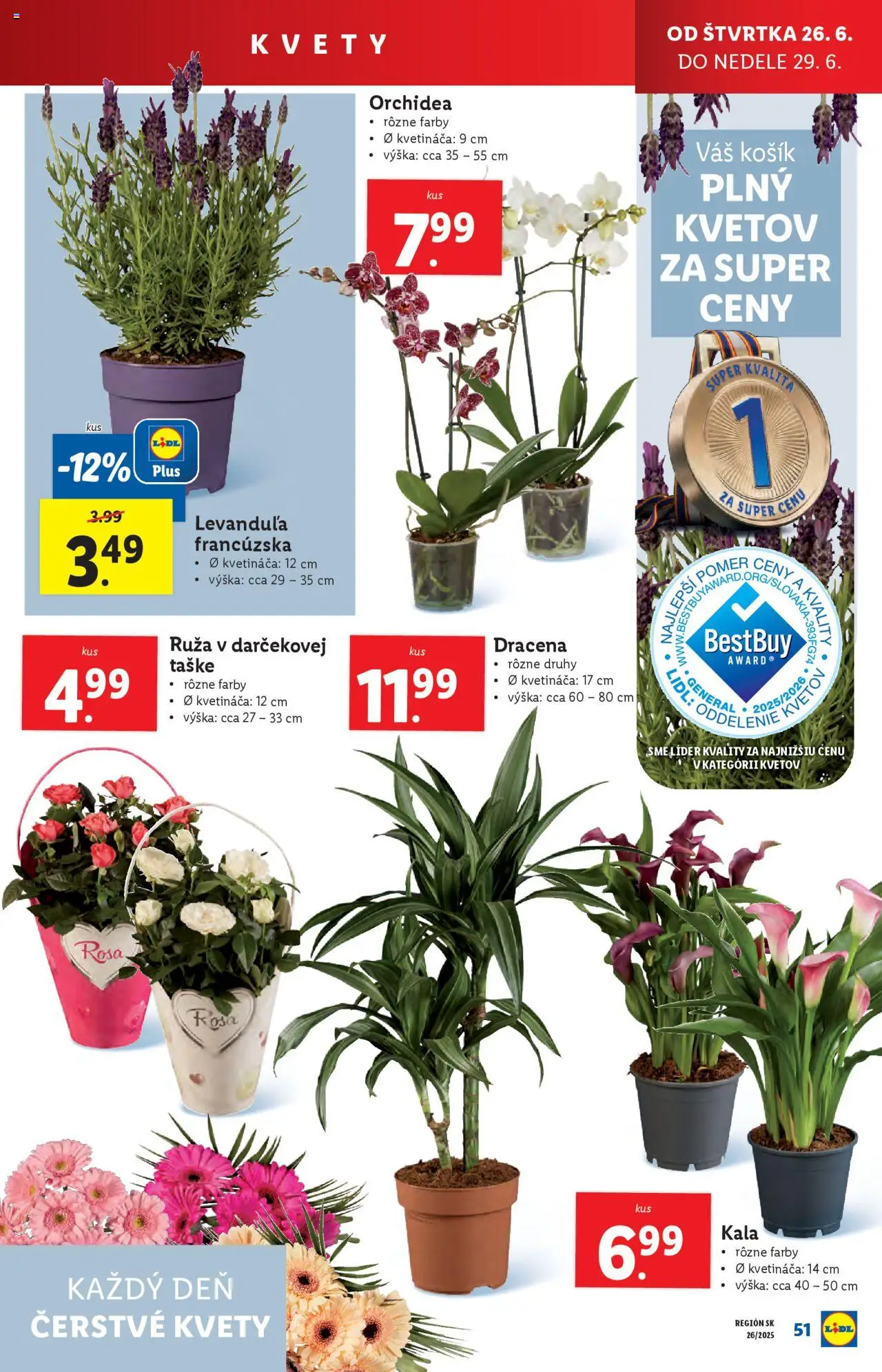 Lidl leták │ platný od 23.06.2025 | Strana: 67 | Produkty: Kvety, Orchidea