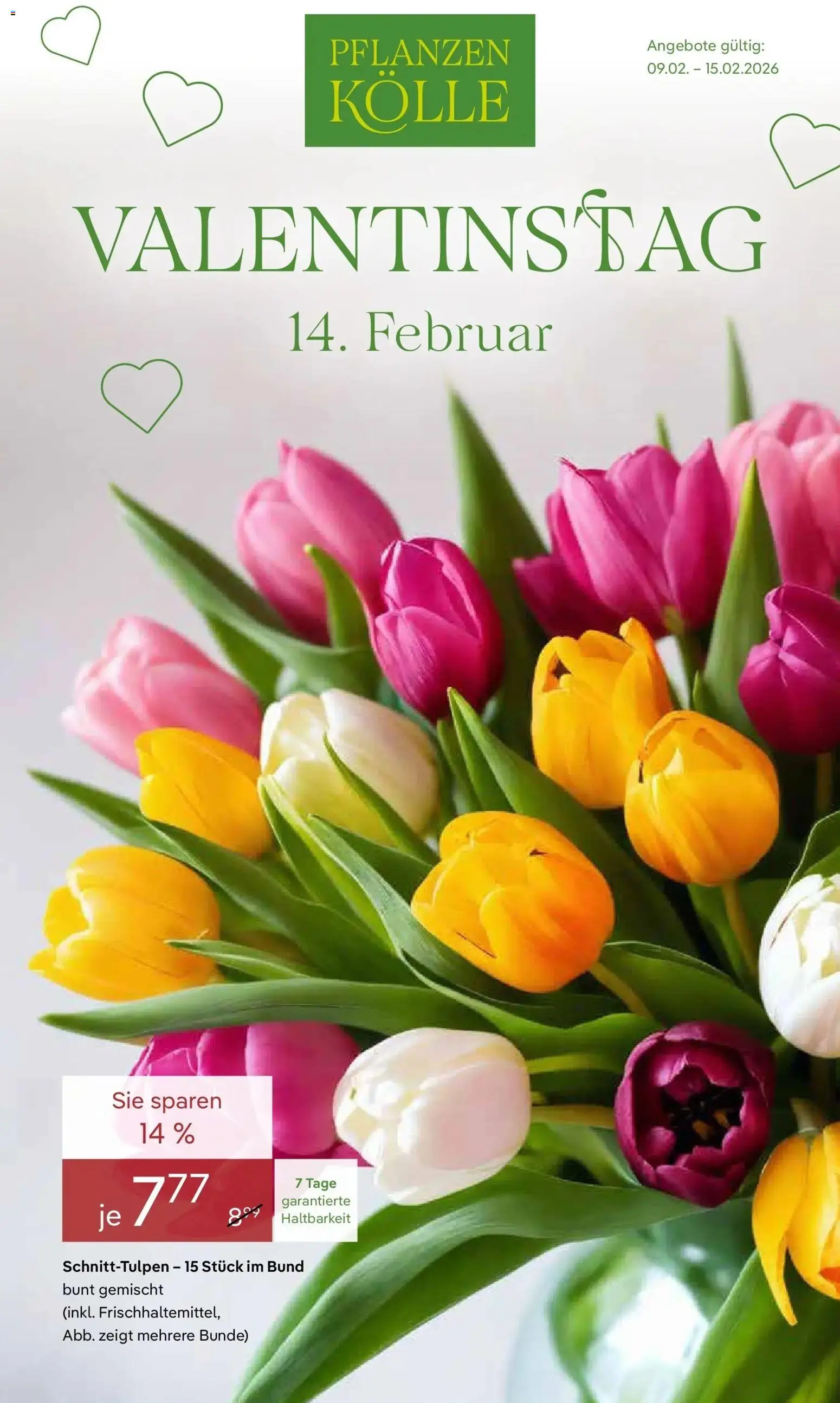 Pflanzen-Kölle - Pflanzen-Kölle: Valentinstag – gültig ab 08.02.2026 | Seite: 1