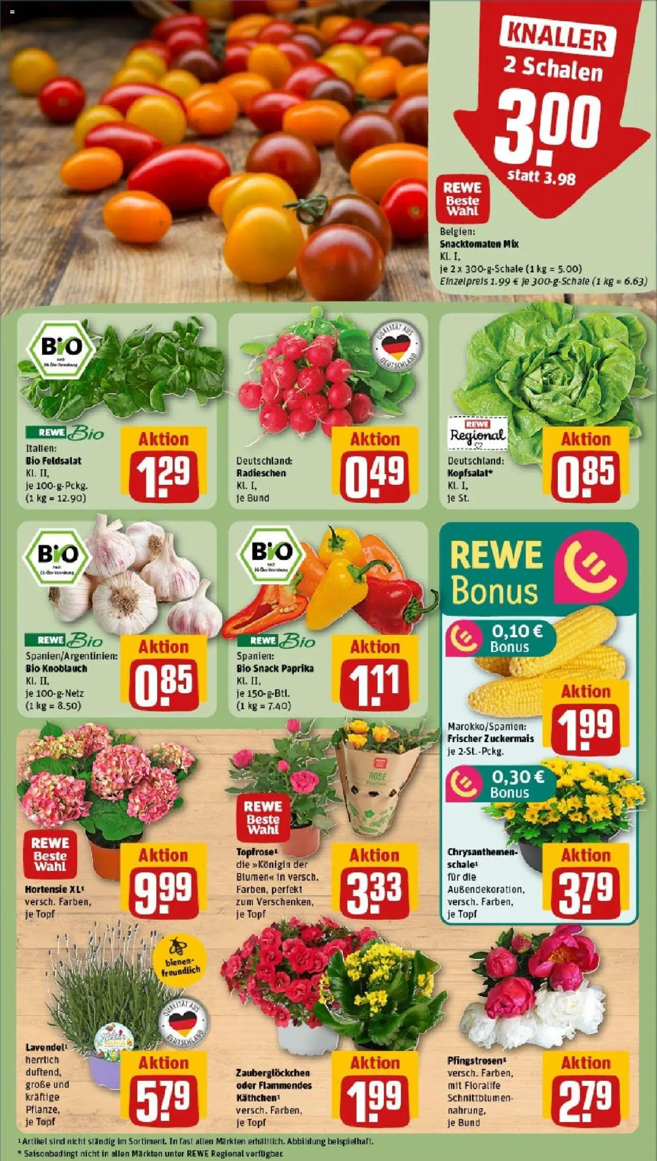 Rewe prospekt Fuldatal / Rothwesten	 - gültig ab dem 08.06.2025 | Seite: 7