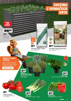 OBI katalog akcije – veljaven od 02.04.2026 | Stran: 5 | Izdelki: Torba, Žemlja, Jagode
