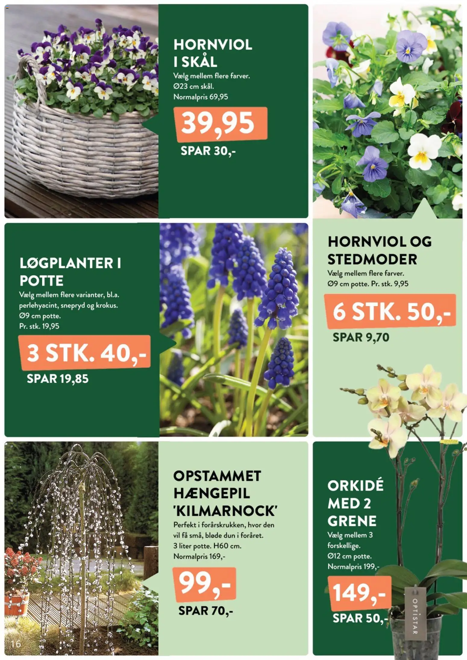 Plantorama tilbudsavis – gyldig fra 06.02.2026 | Side: 16