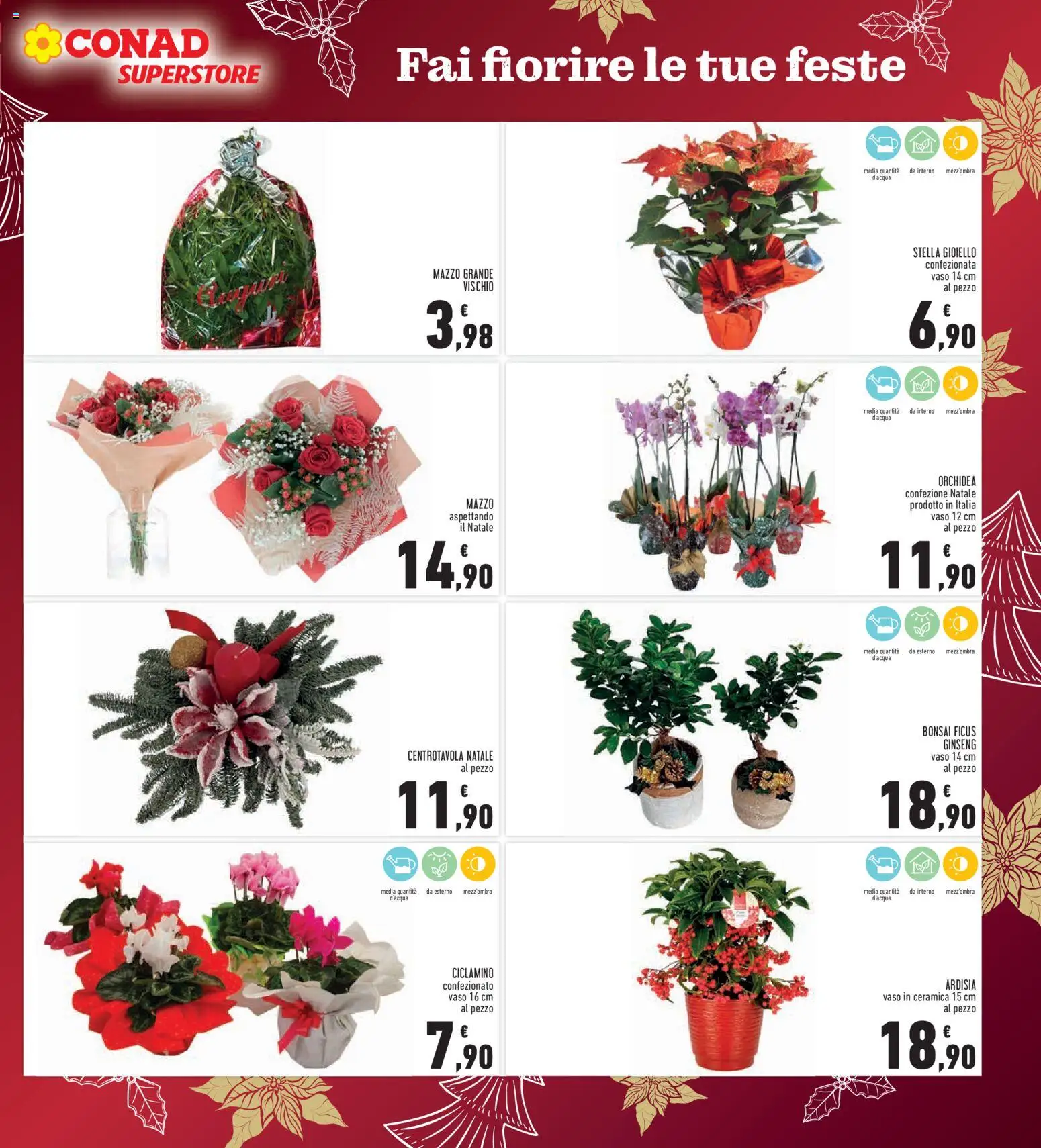 Volantino Conad del 15.12.2025 | Pagina: 7 | Prodotti: Orchidea, Vaso
