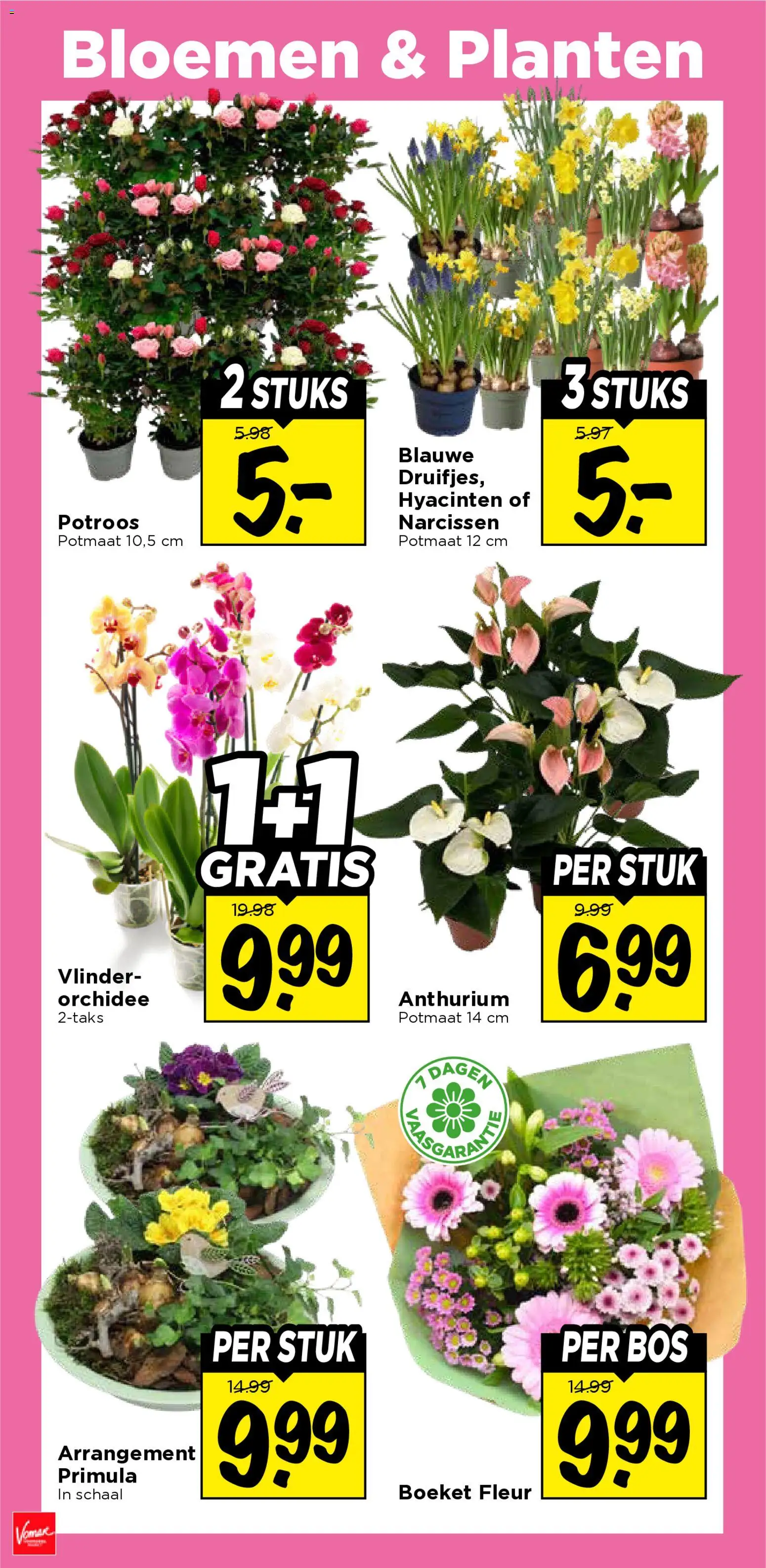 {H1} | Pagina: 29 | Producten: Schaal, Bloemen
