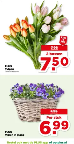 PLUS Tulpen, Diverse kleuren - Voorbeeld van een folder van Plus, geldig van 25.02.2026 | Pagina: 17