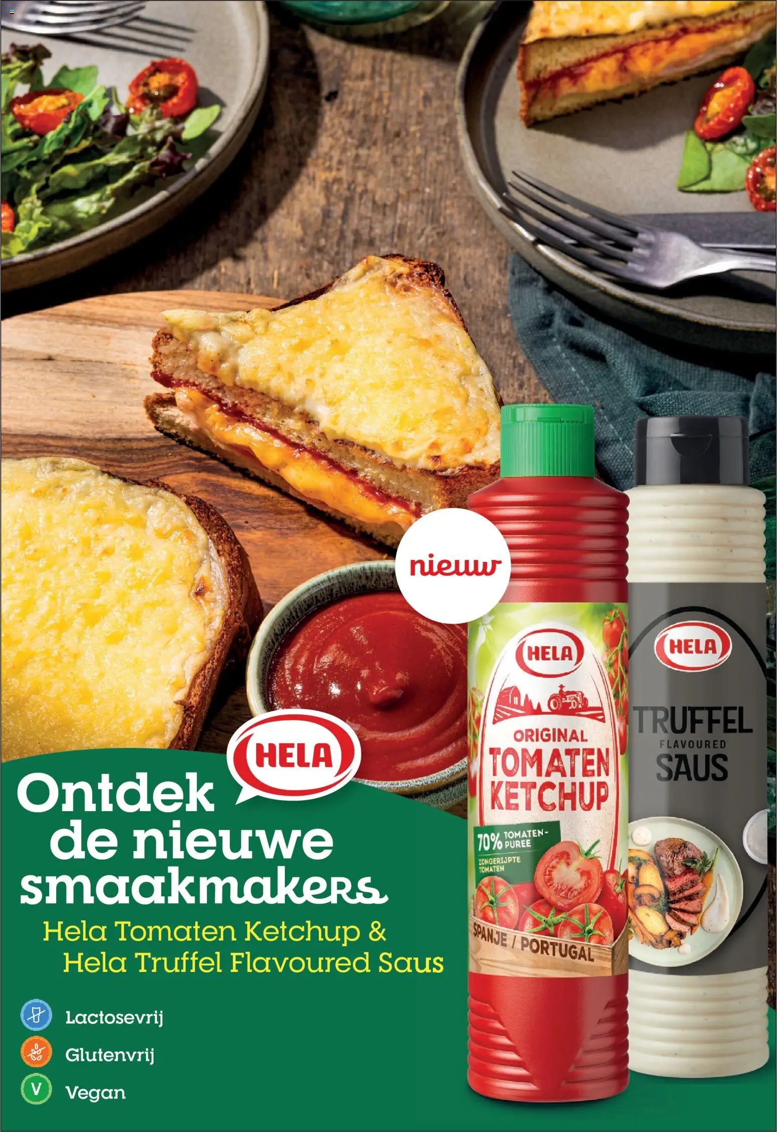 {H1} | Pagina: 31 | Producten: Tomaten, Ketchup, Saus