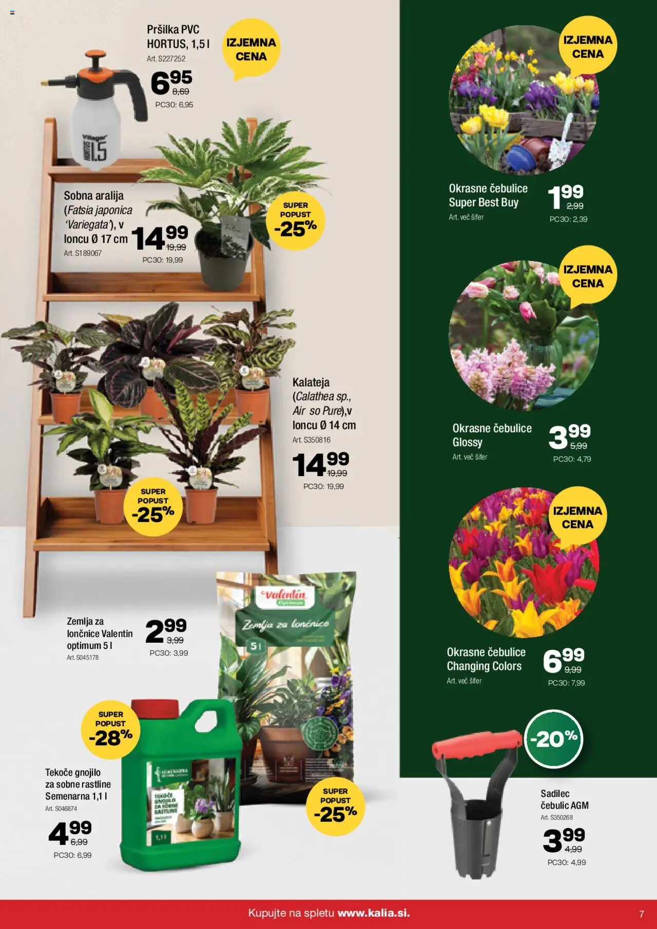 Novi Kalia katalog ponudbe – veljaven od 20.10.2025 | Stran: 7 | Izdelki: Žemlja, Lončnice