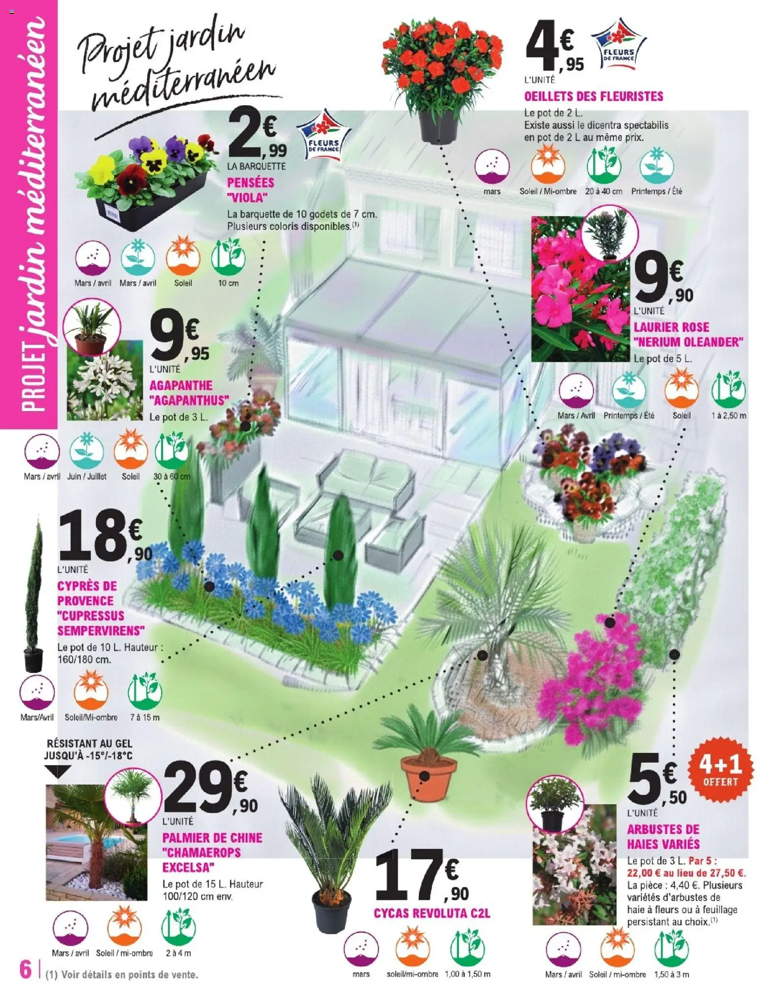 {H1} | Page: 6 | Produits: Laurier Rose, Palmier