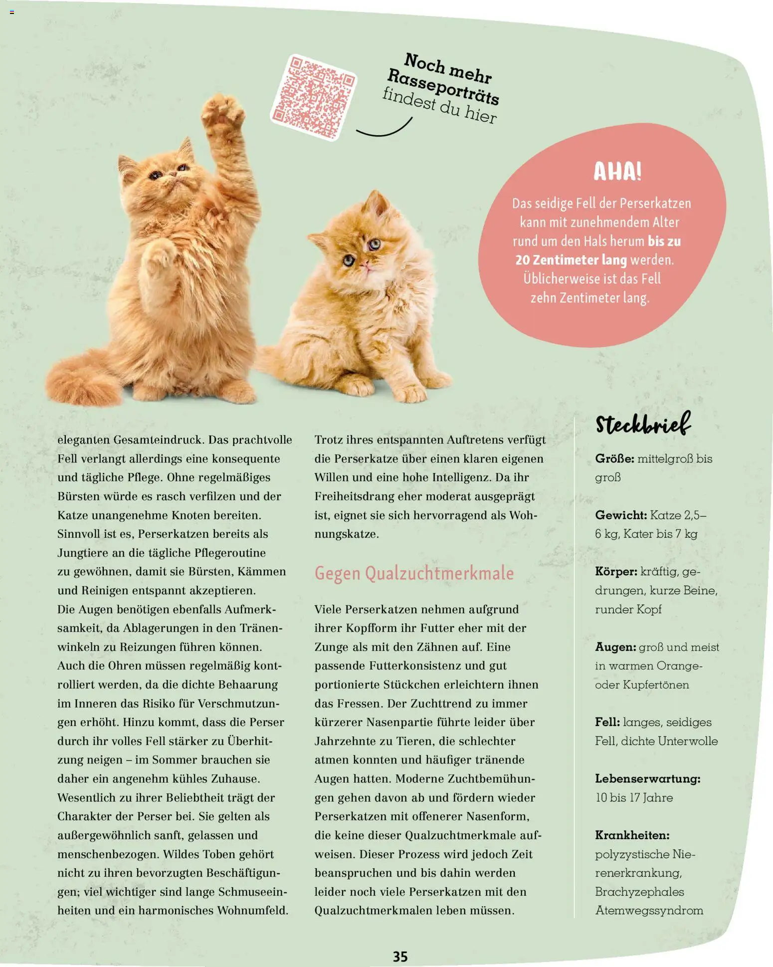 Fressnapf Friends Magazin – gültig ab 02.03.2026 | Seite: 35 | Produkte: Gewicht