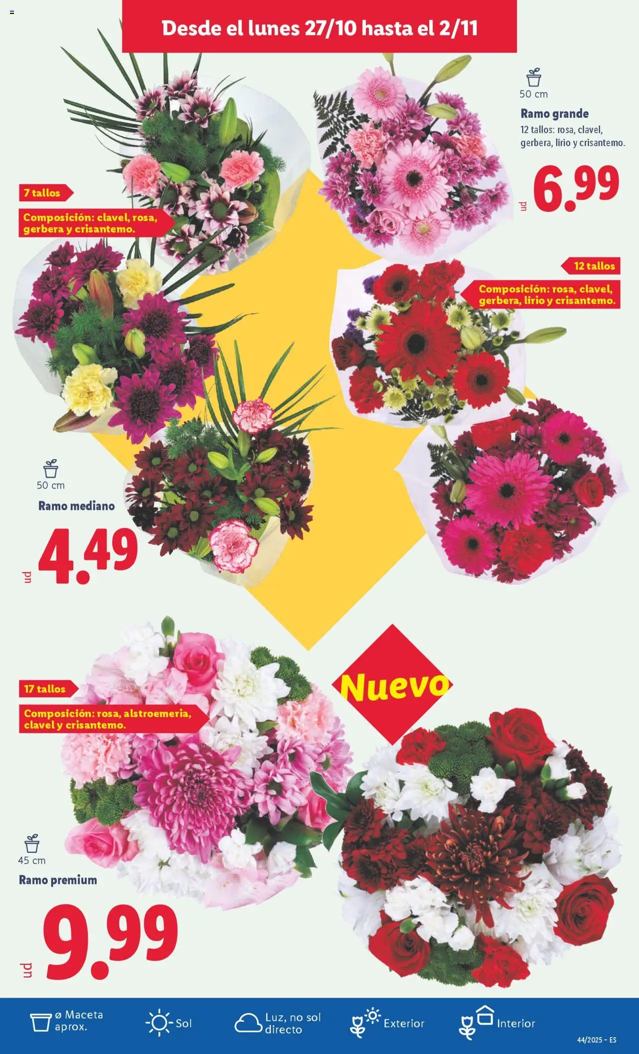 Lidl catálogo MAD │ válido desde el 27.10.2025 | Página: 15 | Productos: Maceta