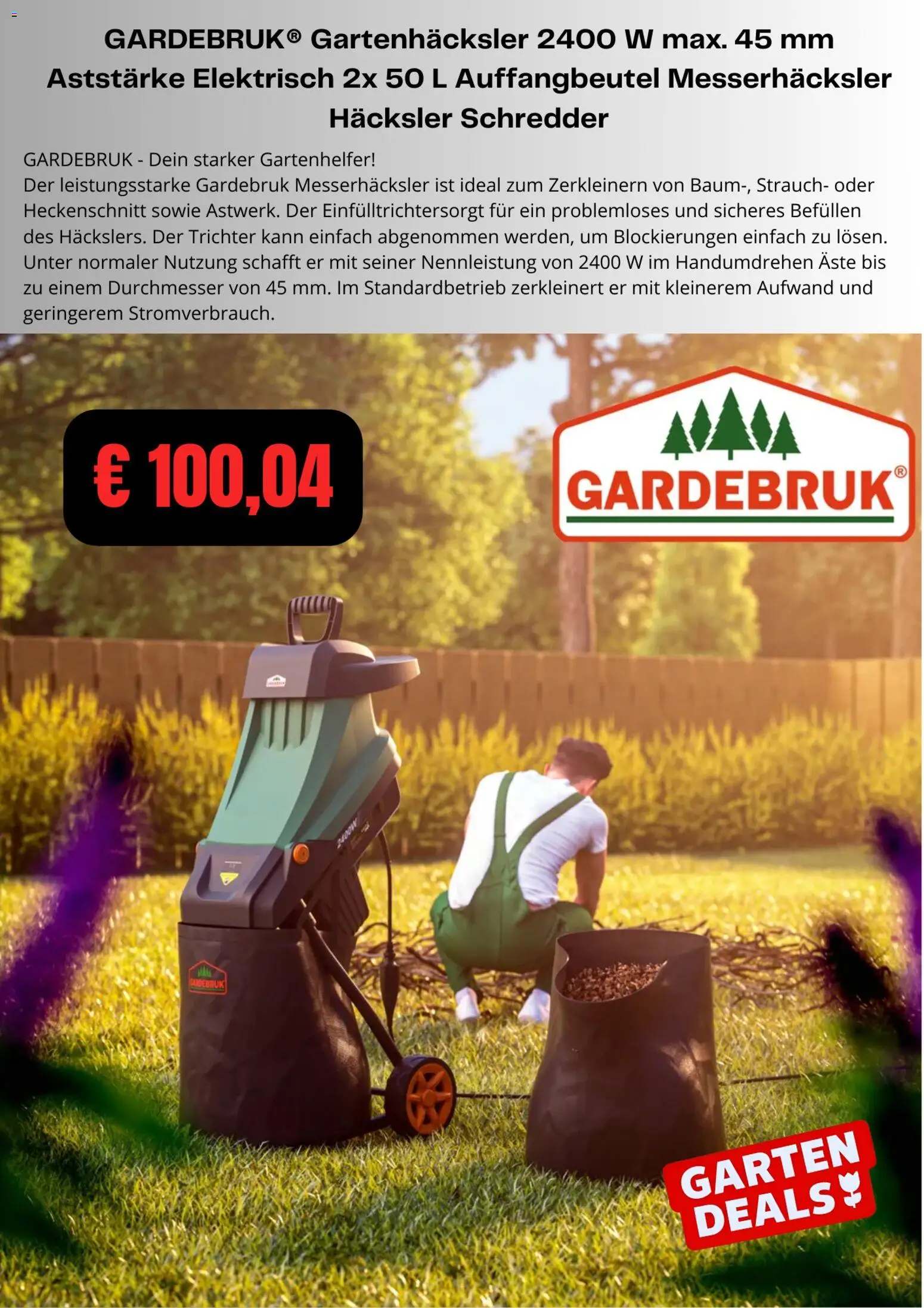 Kaufland Flugblatt gültig ab 20.02.2026 | Seite: 4