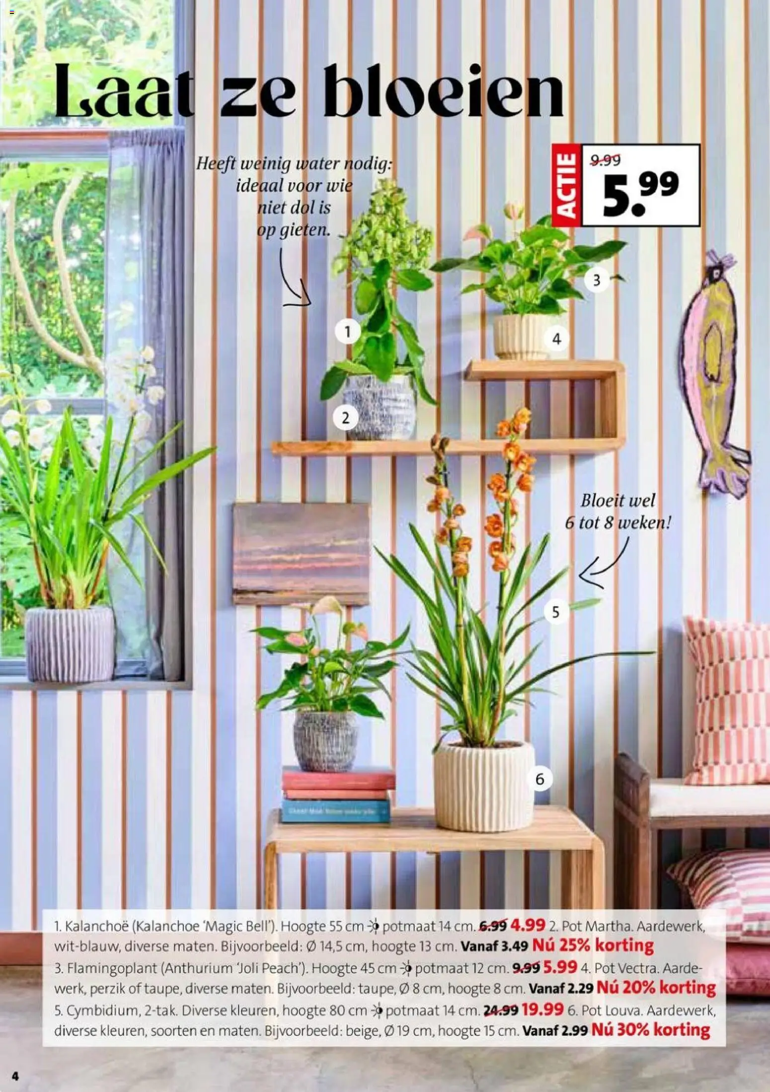 {H1} | Pagina: 4 | Producten: Pot, Festék