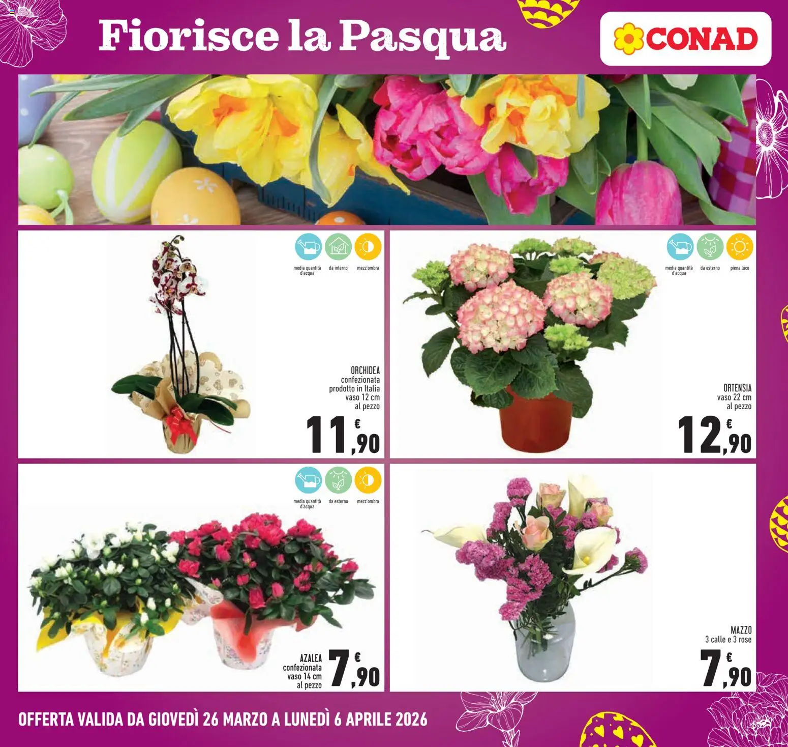 Volantino Conad volantino Piemonte del 26.03.2026 | Pagina: 25 | Prodotti: Orchidea, Vaso