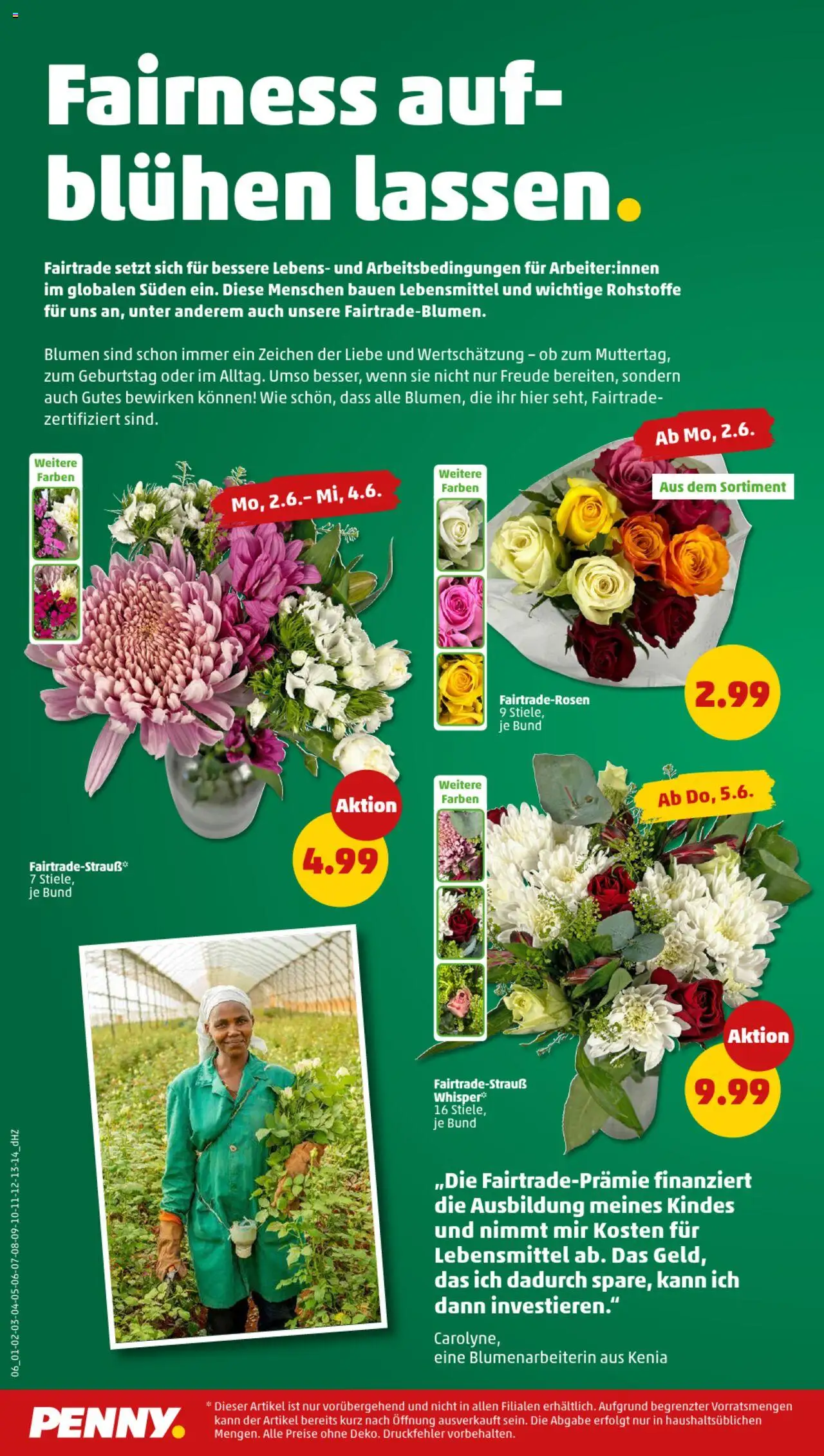 Penny Prospekt 	 - gültig ab dem 02.06.2025 | Seite: 6 | Produkte: Blumen