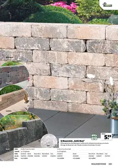 Hagebau Gartenjahr ab 13.03.2026 gültig | Seite: 281