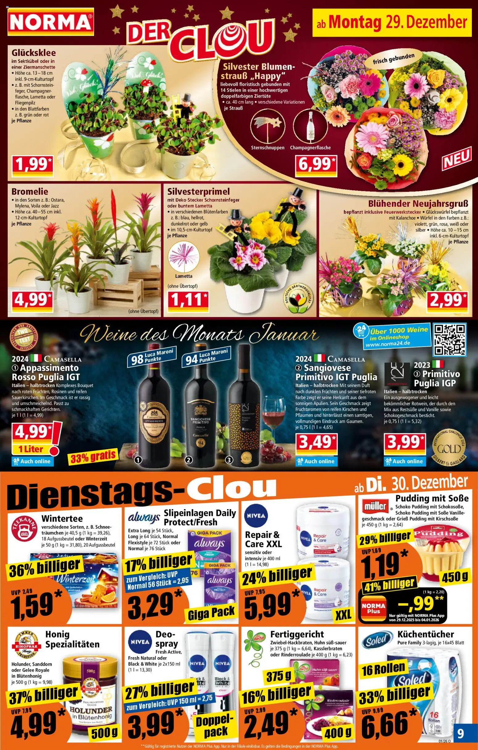 Norma Prospekt 	 – gültig ab 29.12.2025 | Seite: 8 | Produkte: Pflaumen, Blumen, Kirschen, Soße
