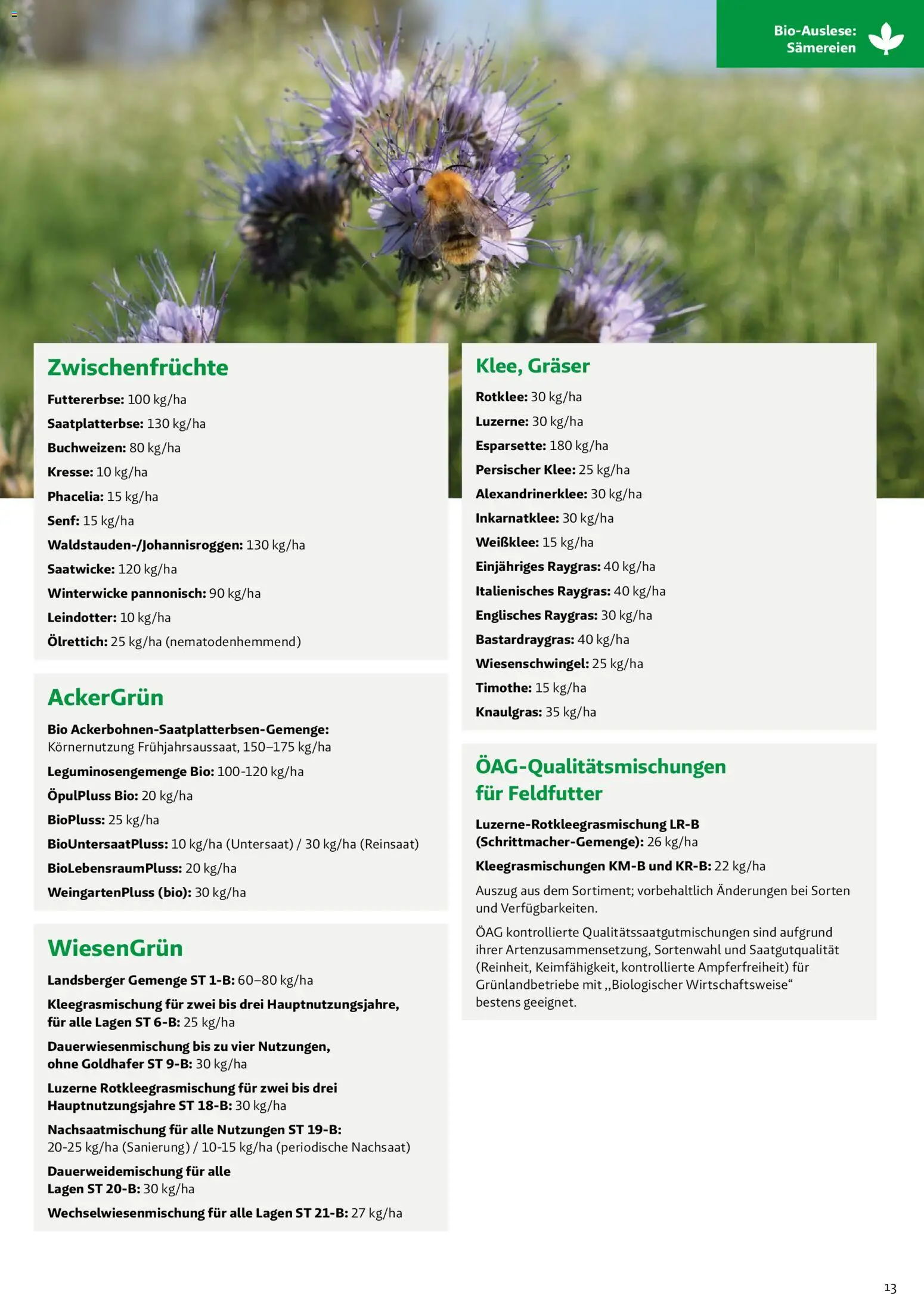 Lagerhaus - Frühjahr 2026 gültig ab 01.03.2026 | Seite: 13