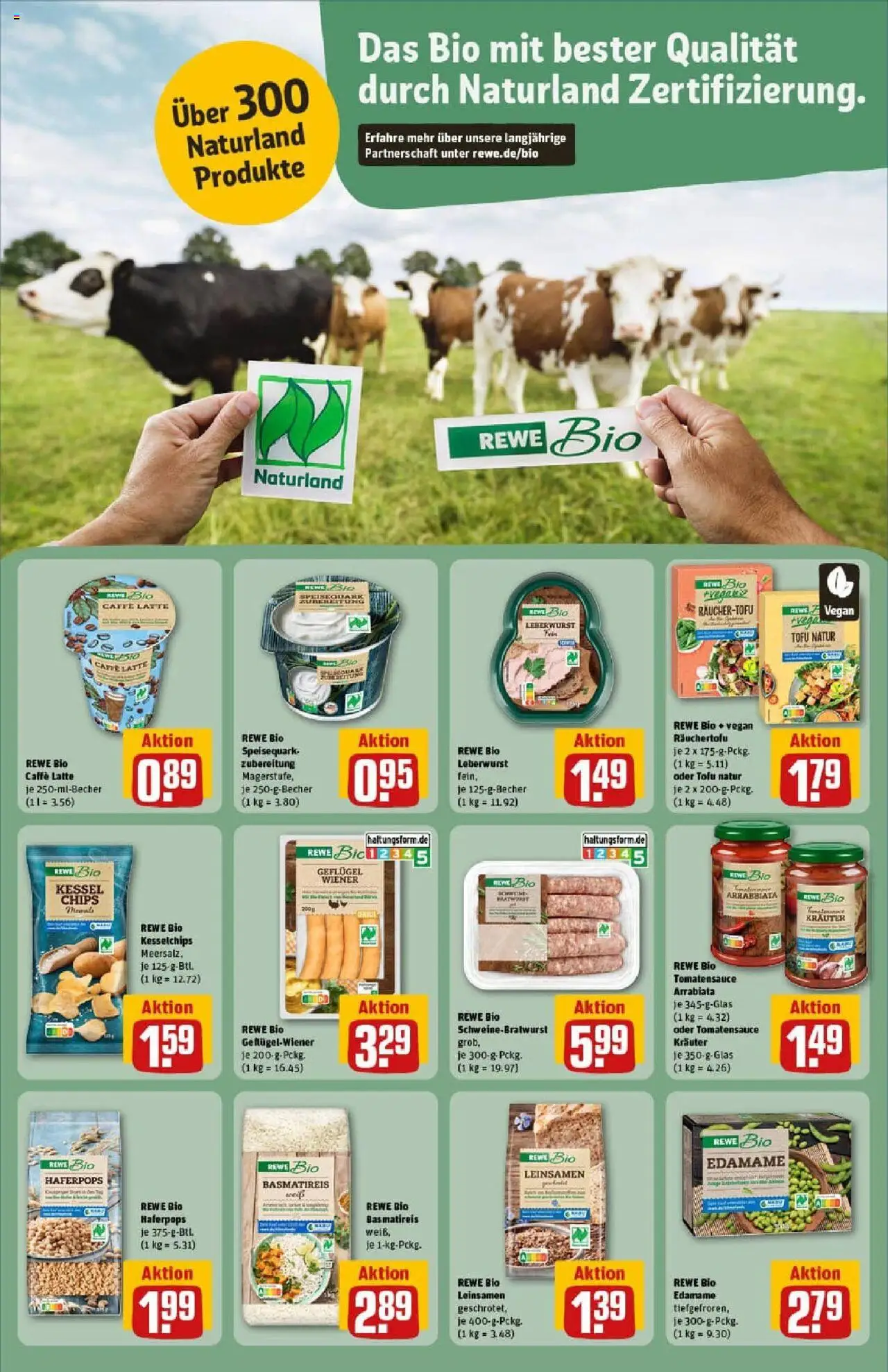 Rewe prospekt Geesthacht	 – gültig ab 01.09.2025 | Seite: 17 | Produkte: Basmatireis, Chips, Speisequark