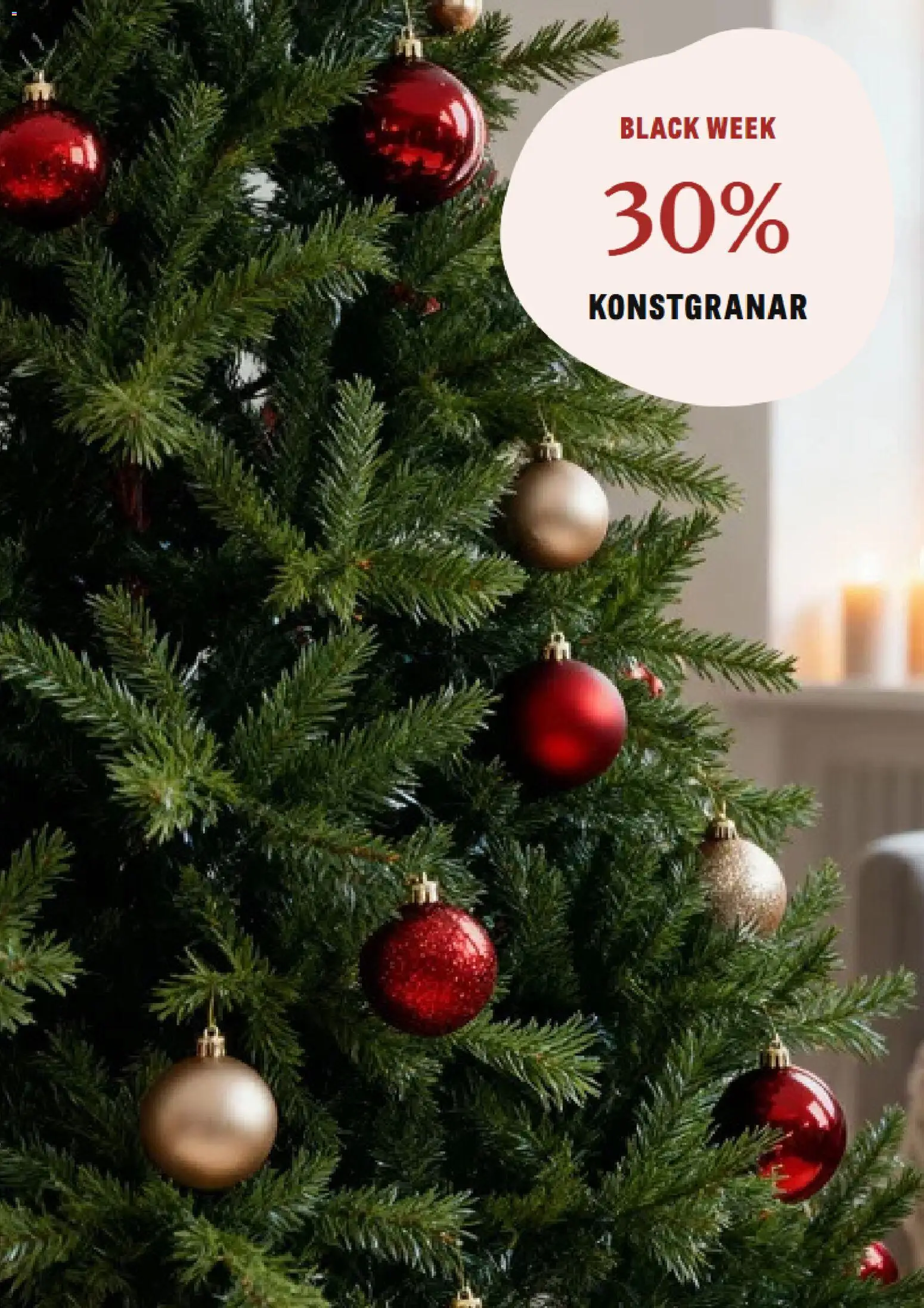 Blomsterlandet reklamblad aktuell från 24.11.2025 | Sida: 5