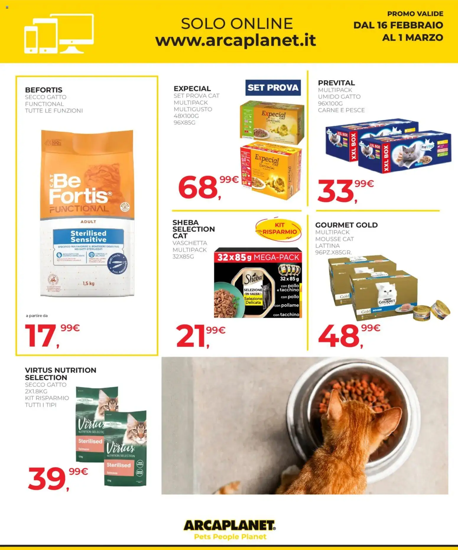 Volantino Arcaplanet del 16.02.2026 | Pagina: 38 | Prodotti: Salsa, Tacchino, Digestivo, Alici