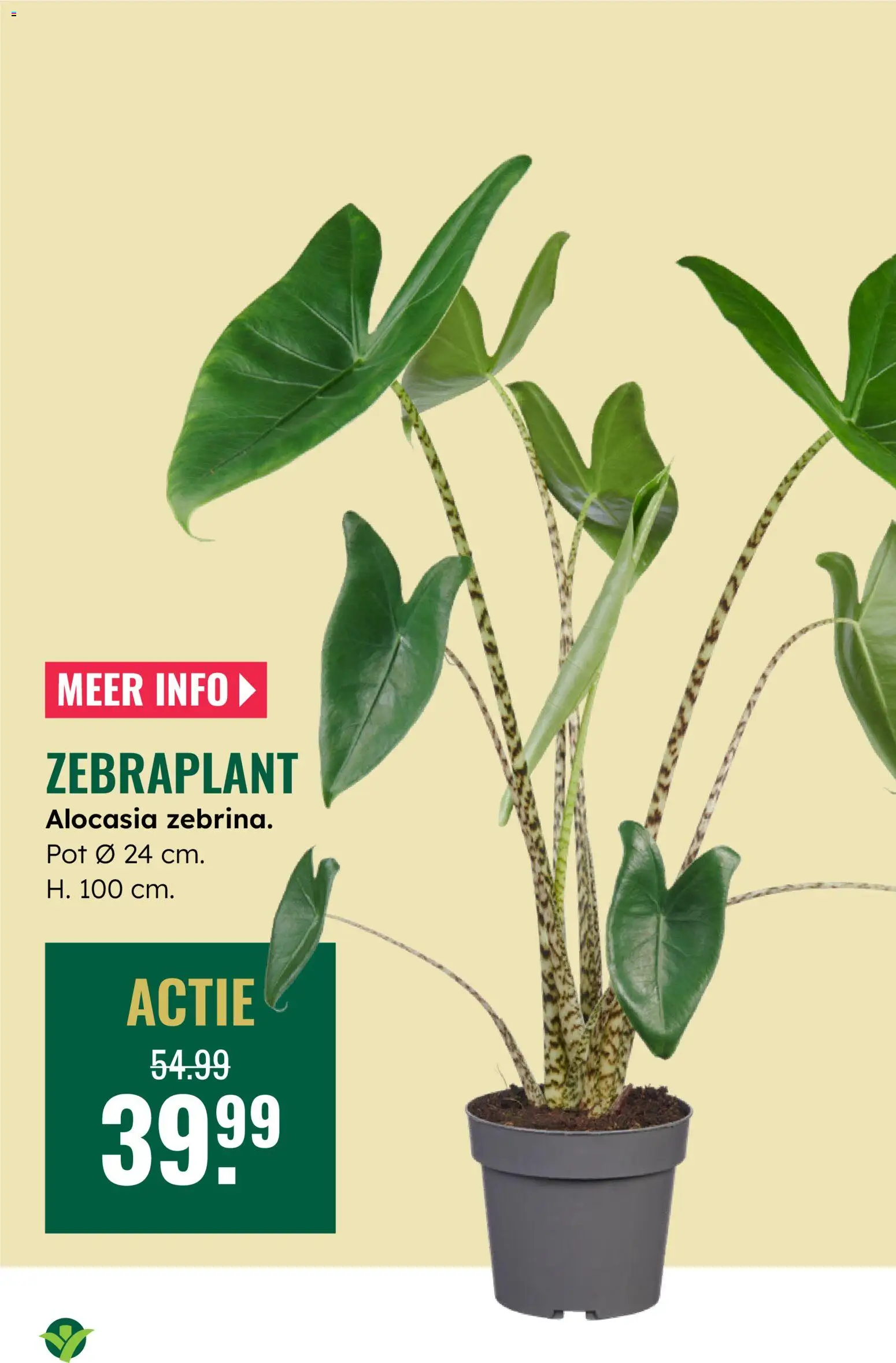 {H1} | Pagina: 12 | Producten: Pot