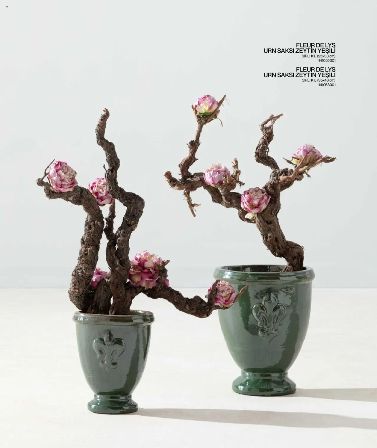 Mudo Katalog - BAHÇE 2025 - 04.06.2025 tarihinden itibaren geçerlidir | Sayfa: 127 | Ürünler: Saksı, Zeytin