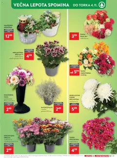 Spar katalog akcije – veljaven od 22.10.2025 | Stran: 29
