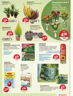 V-Markt - Hallertau/Oberpfalz – gültig ab 11.09.2025 | Seite: 17 | Produkte: Vase