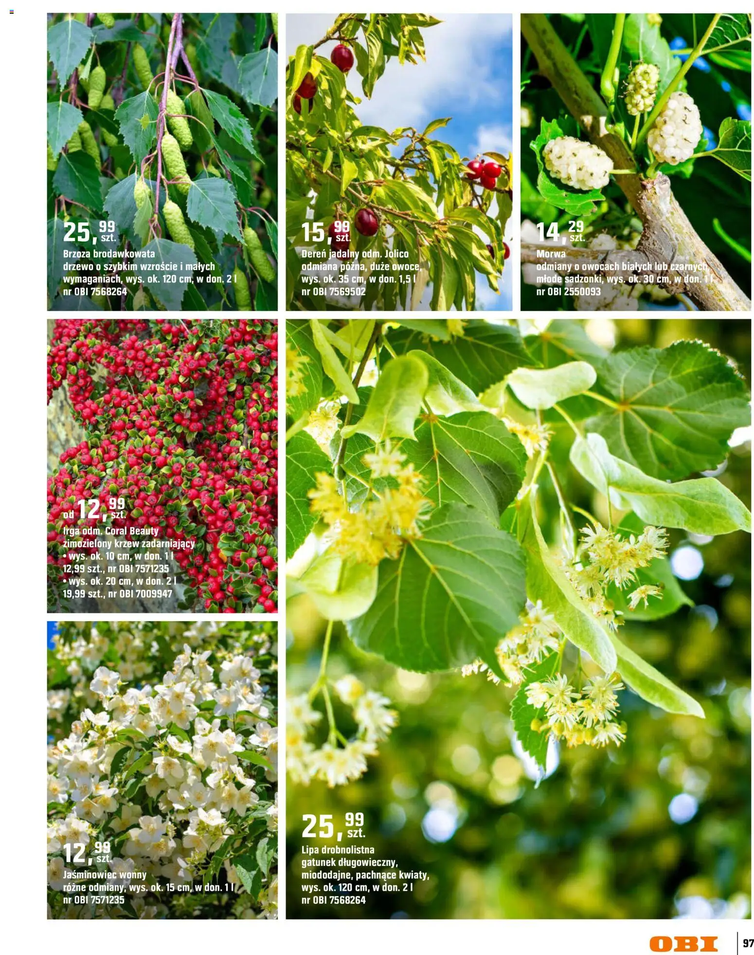 OBI gazetka - Ogród od 11.03.2026 | Strona: 97 | Produkty: Owoce