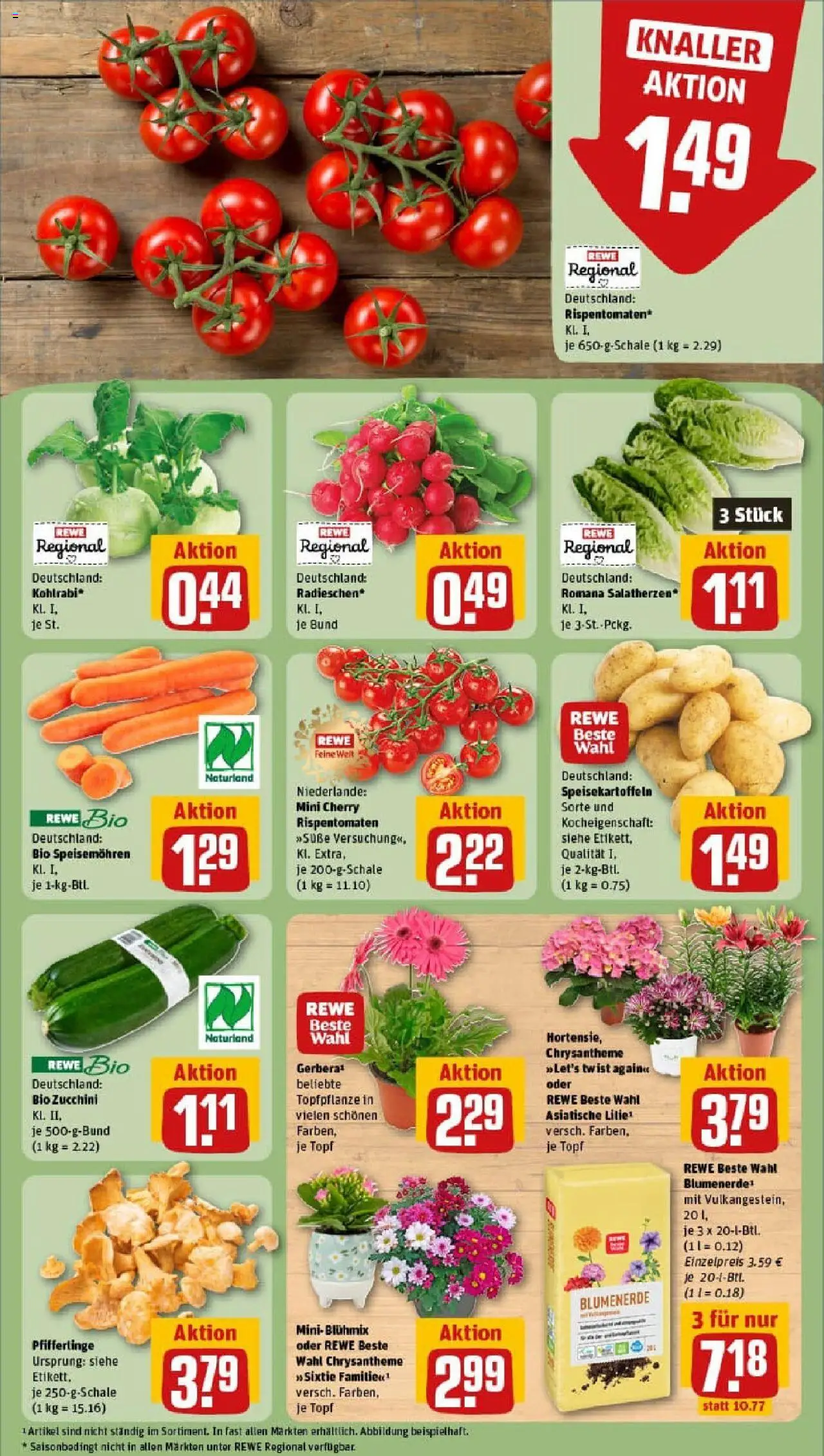 Rewe prospekt Ebersbach	 - gültig ab dem 03.08.2025 | Seite: 7 | Produkte: Kohlrabi, Blumenerde, Pfifferlinge, Zucchini