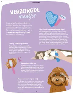 Maxi Zoo - Maxizoo Friends  - Voorbeeld van een folder van Maxi Zoo, geldig van 01.10.2025 | Pagina: 20 | Producten: Borstels, Borstel, Kan