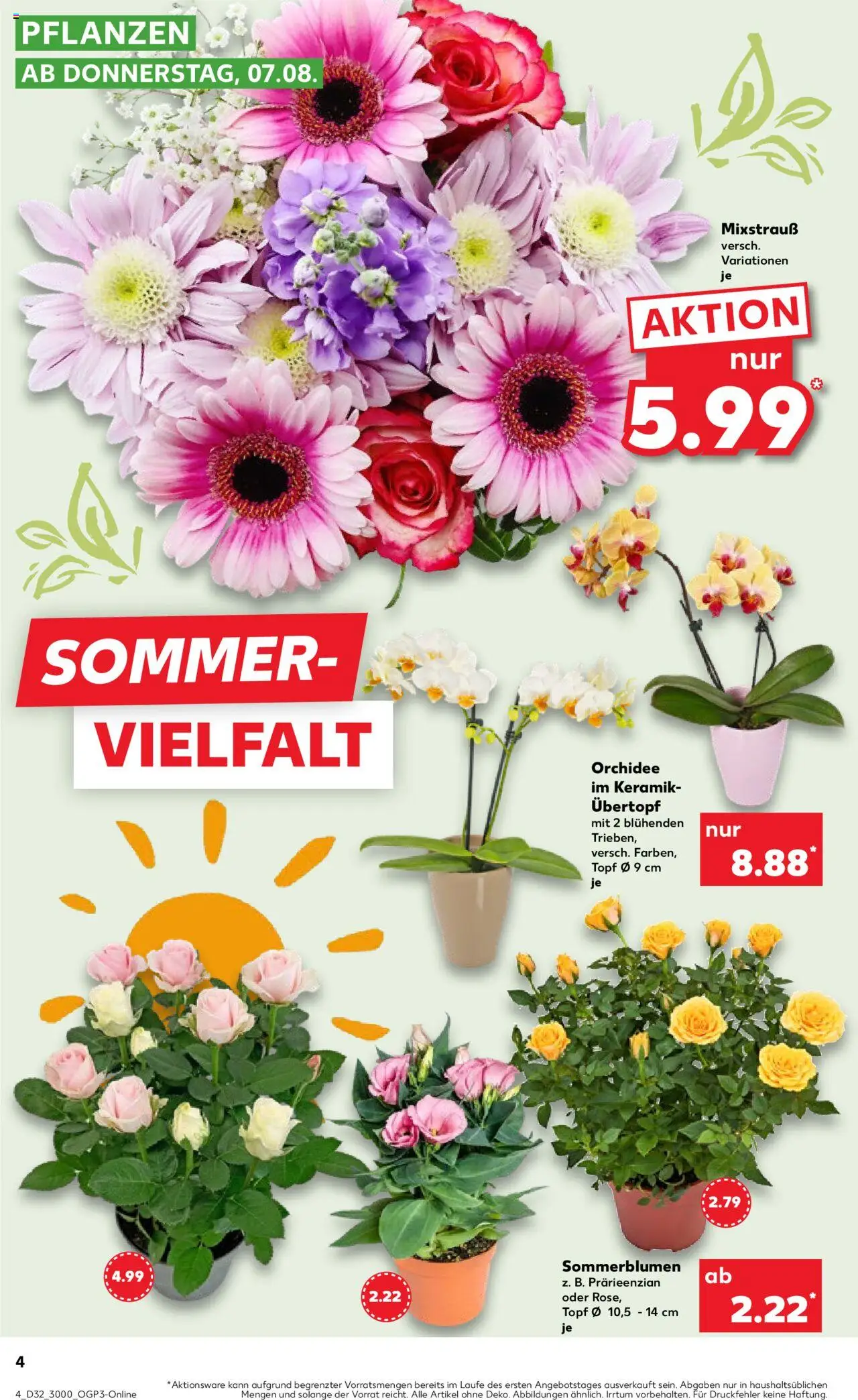 Kaufland prospekt Speyer	 - gültig ab dem 07.08.2025 | Seite: 4 | Produkte: Orchidee