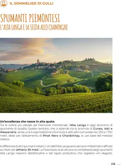 Volantino Gulliver del 27.06.2025 | Pagina: 19 | Prodotti: The, Spumante, Champagne