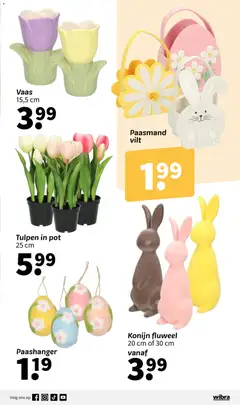 Wibra folder - Voorbeeld van een folder van Wibra, geldig van 02.03.2026 | Pagina: 5 | Producten: Pot, Vaas