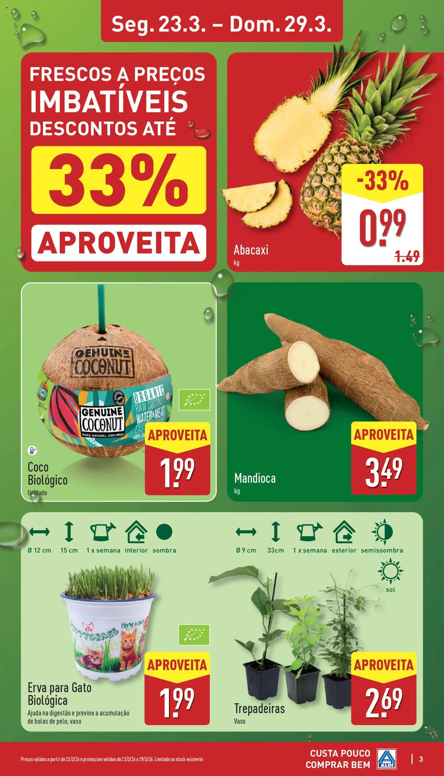 Aldi folheto │ válido de 23.03.2026 | Página: 3 | Produtos: Vaso, Abacaxi
