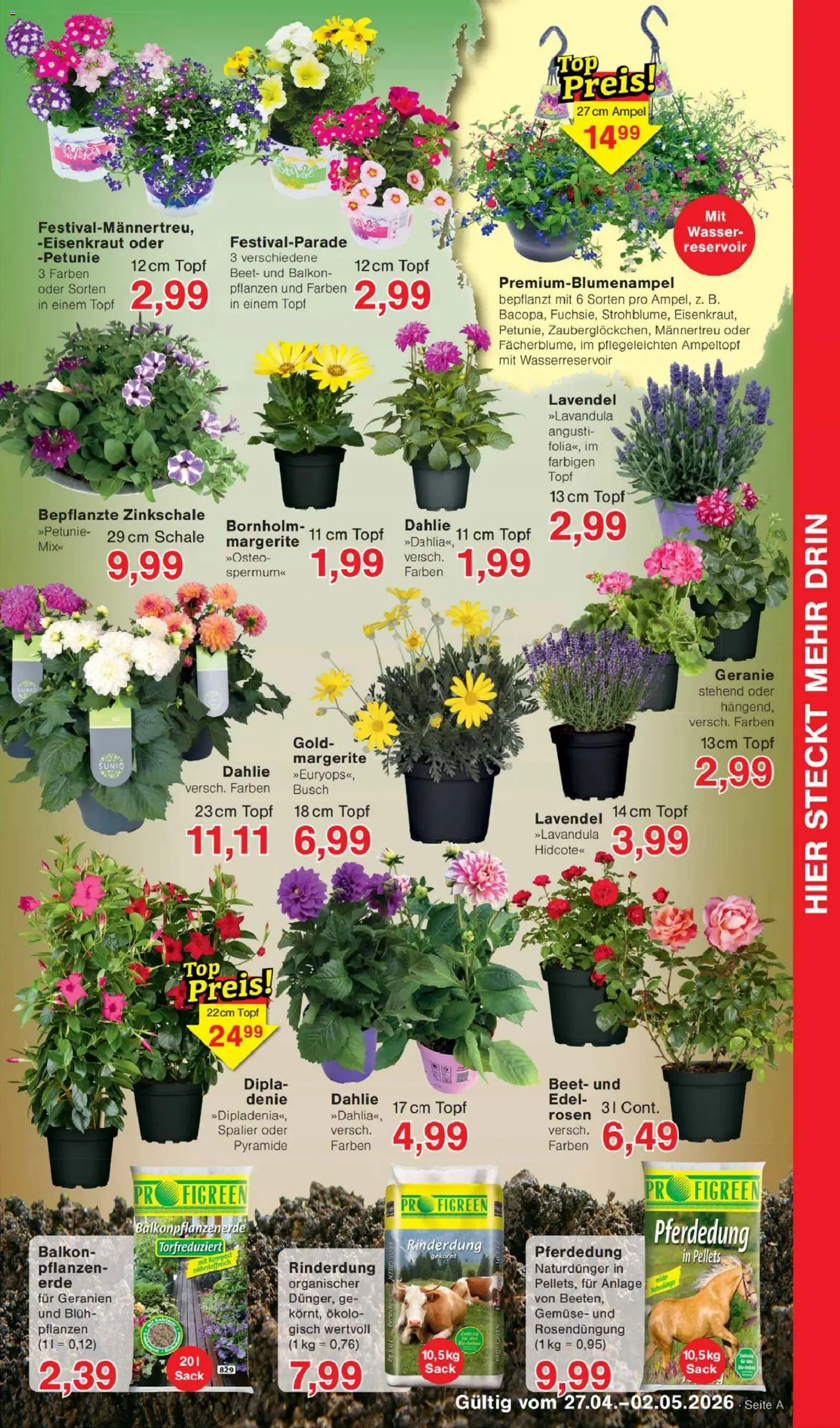 Jawoll Prospekt – gültig ab 27.04.2026 | Seite: 7 | Produkte: Geranien, Wasser, Gemüse, Lavendel