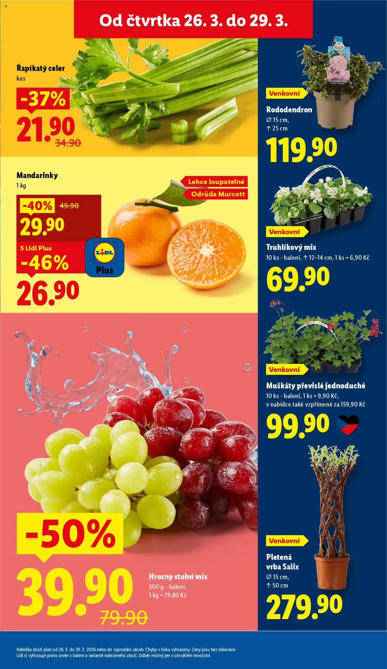 Lidl leták od 26.03.2026 | Strana: 11 | Produkty: Muškáty, Mandarinky, Řapíkatý celer, Hrozny