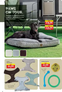 Preview of Aldi - Weekly offers UK Specialbuys valid from 19.03.2026 | Page: 28