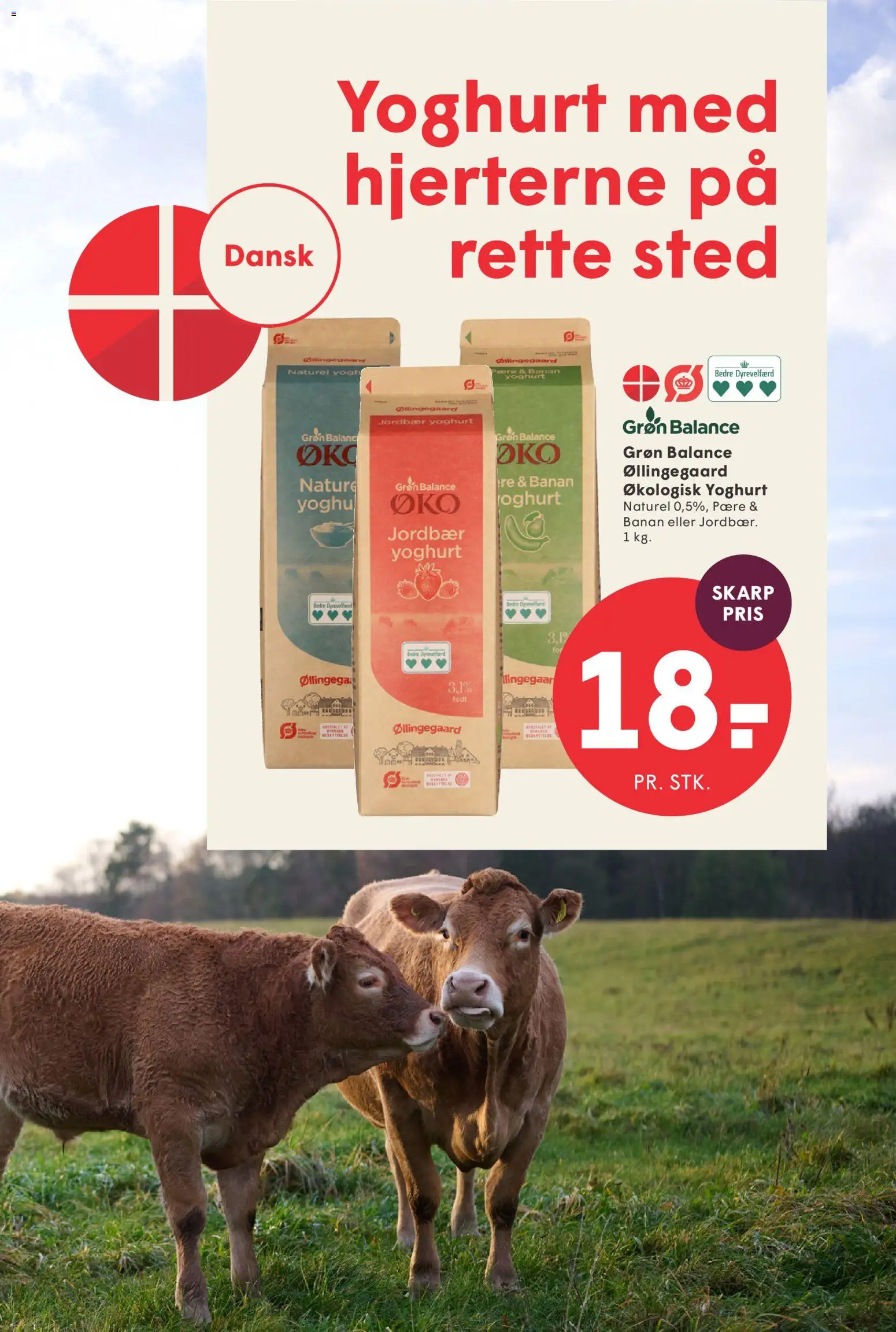 Spar tilbudsavis – gyldig fra 16.01.2026 | Side: 5 | Produkter: Yoghurt, Jordbær