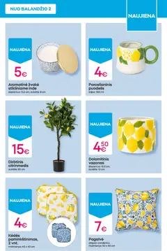 Pepco leidinys galioja nuo 02.04.2026 | Puslapis: 5 | Prekių: Puodelis, Pagalvė, Vazonas