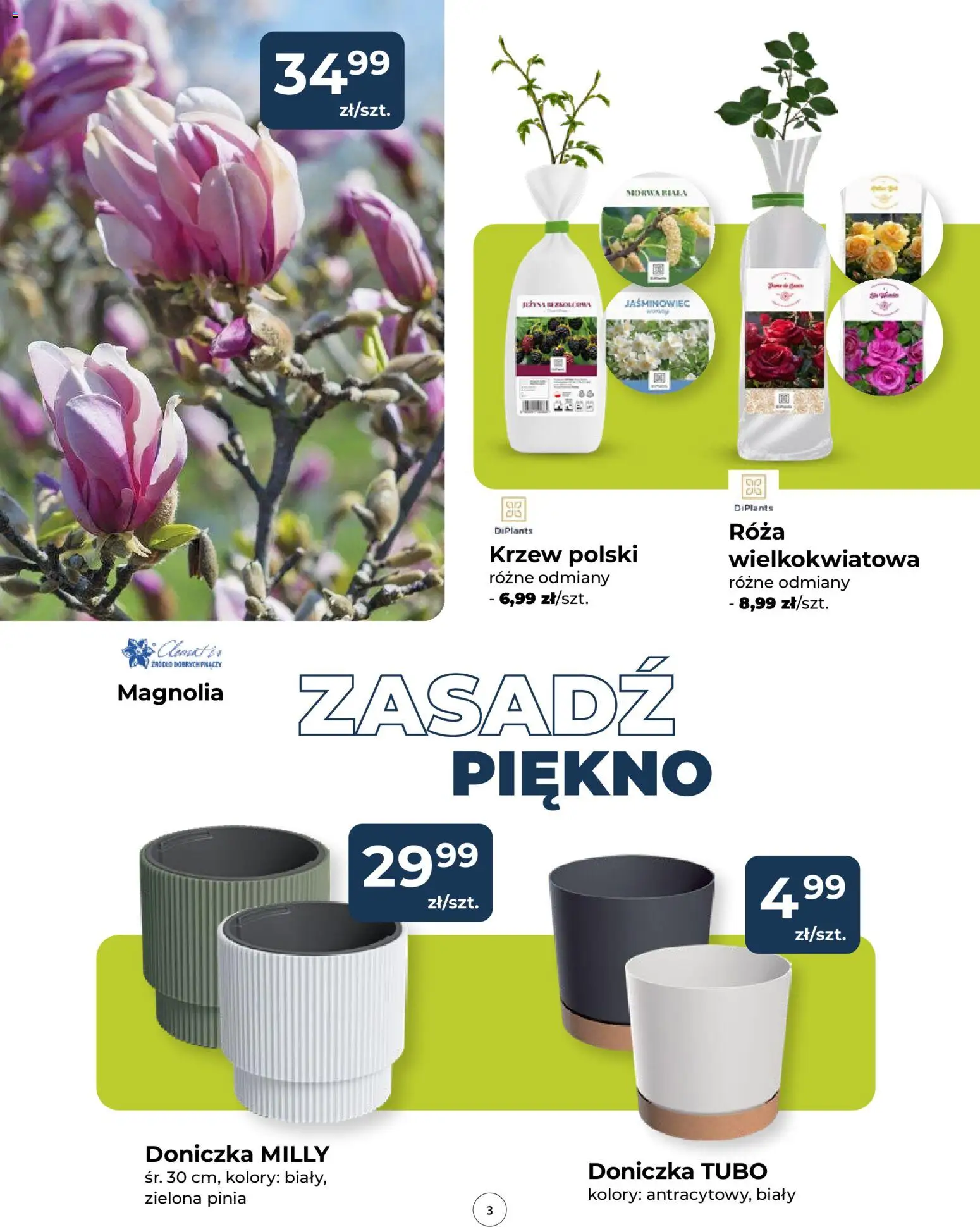 Mrówka gazetka od 12.03.2026 | Strona: 3 | Produkty: Doniczka