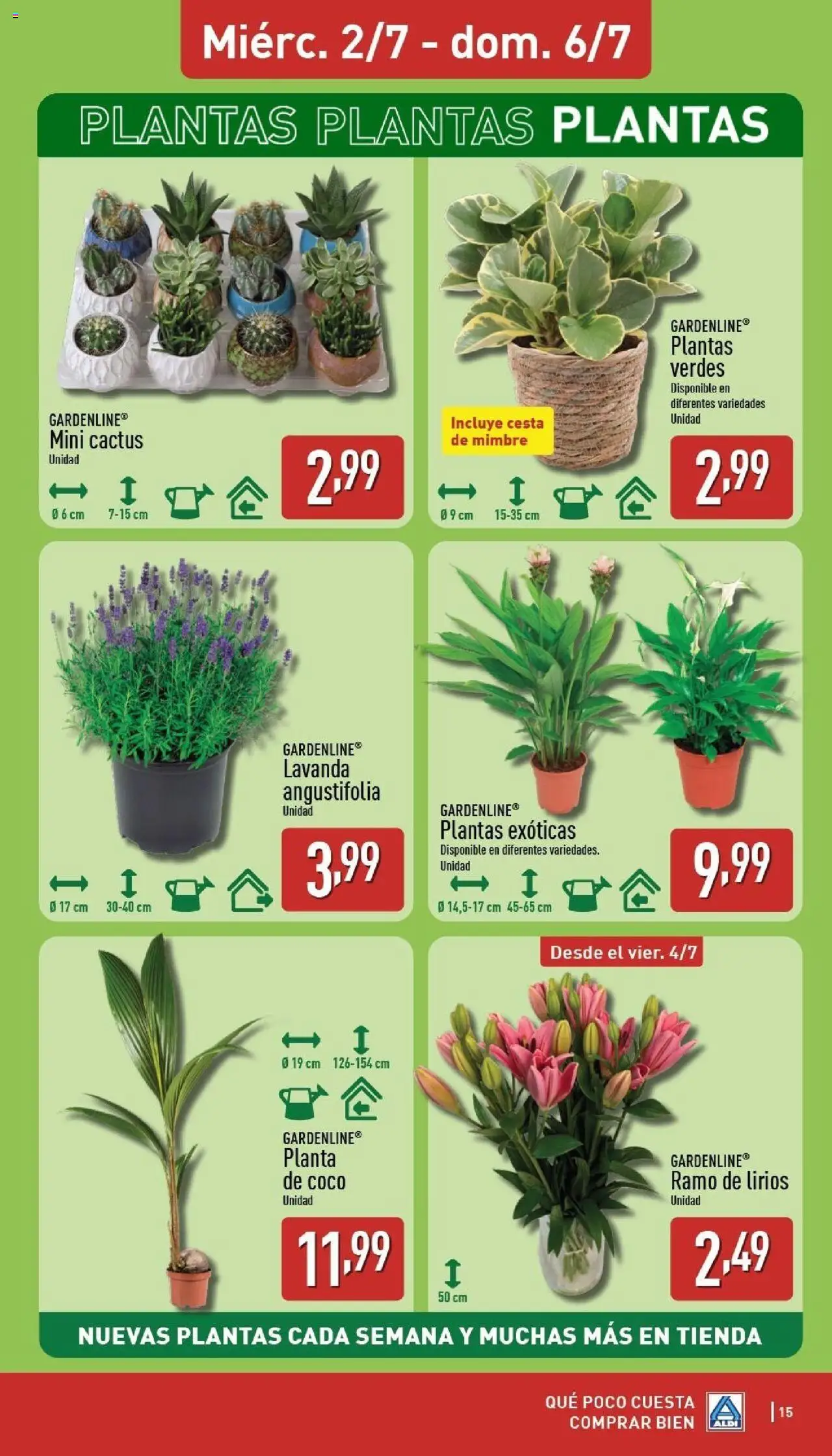 Aldi folleto Península │ válido desde el 30.06.2025 | Página: 15 | Productos: Τυρόπιτα, Cesta
