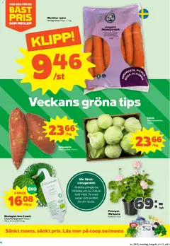 Stora Coop erbjudanden - Förhandsvisning av reklamblad från butik Stora Coop aktuell från 07.04.2026 | Sida: 4 | Produkter: Pelargon, Vitkål, Sötpotatis, Lime