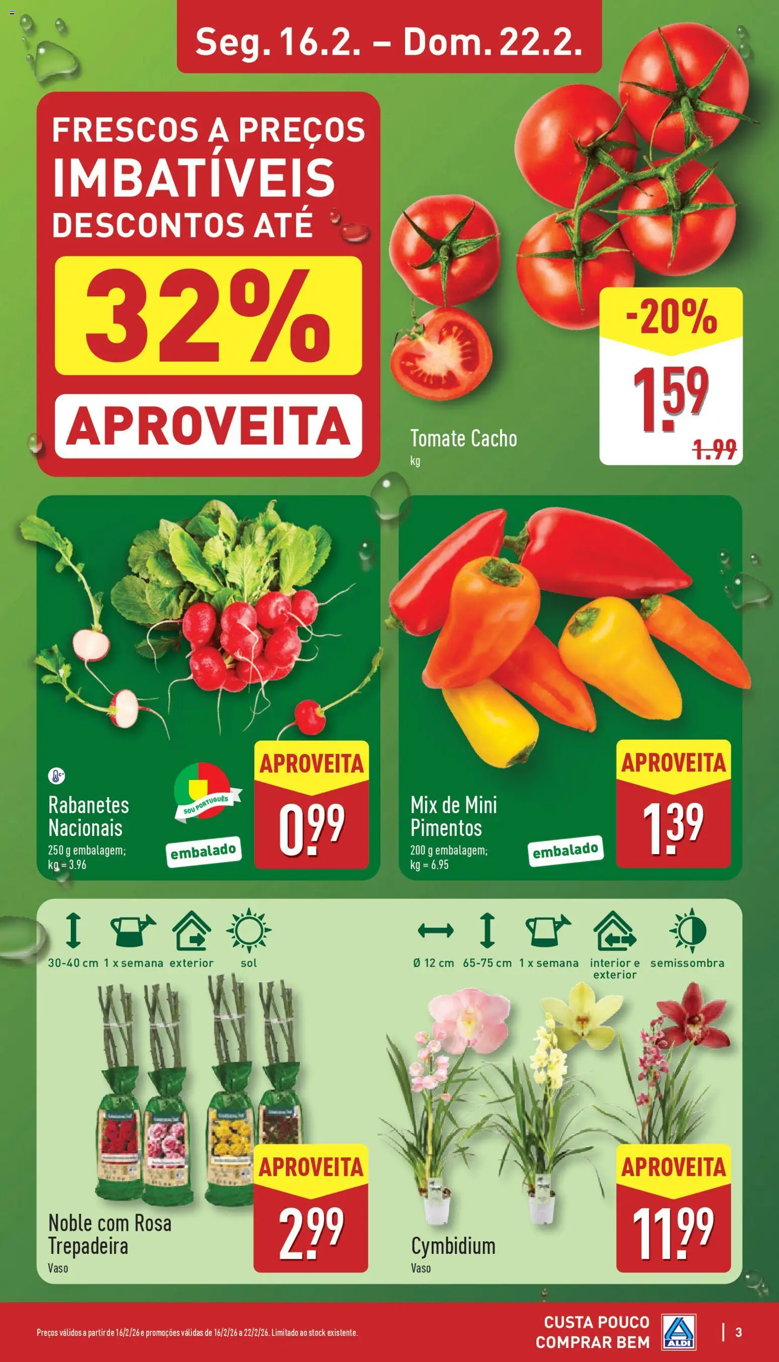 Aldi folheto │ válido de 16.02.2026 | Página: 3
