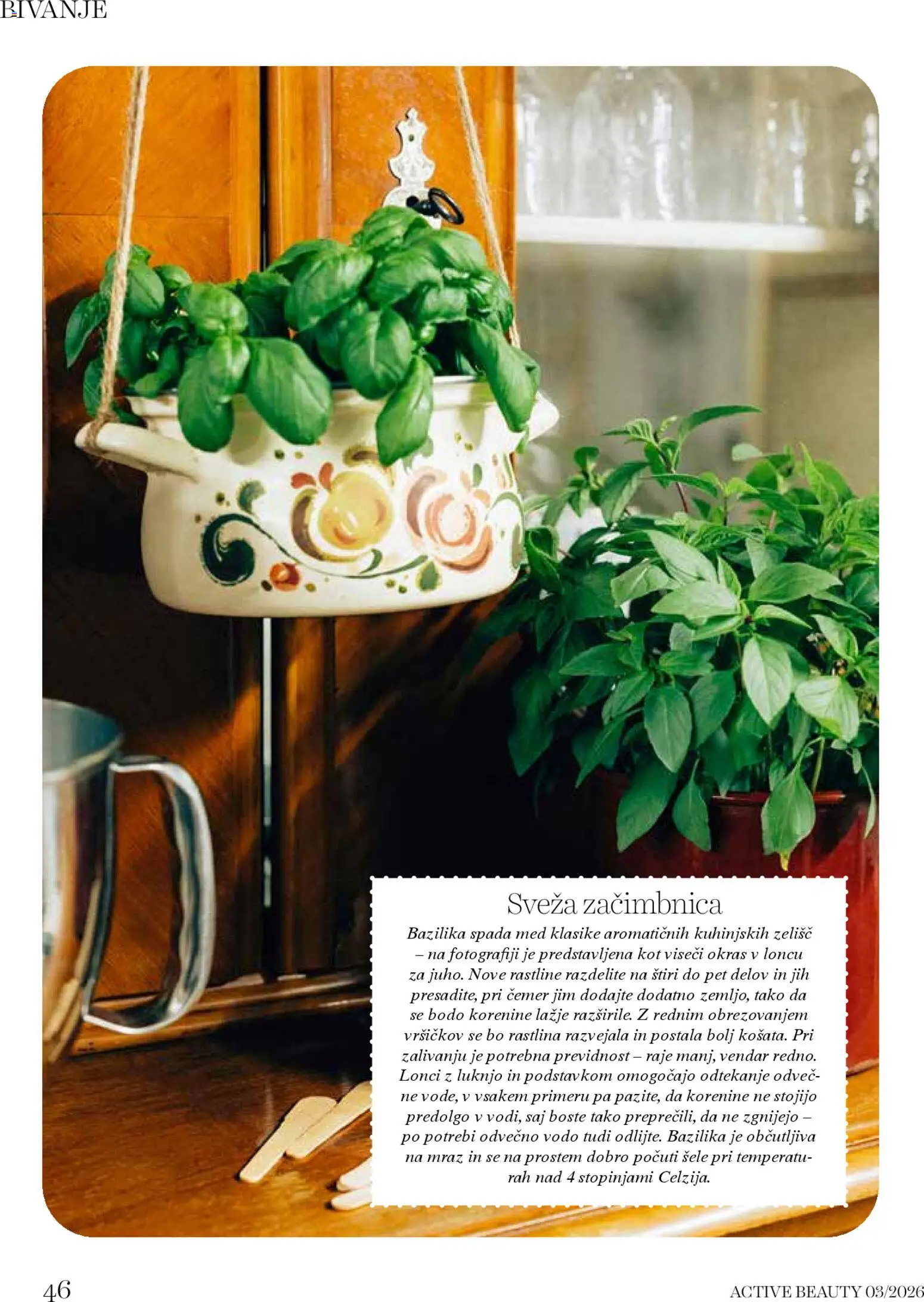 Novi DM Drogerie Markt katalog ponudbe – veljaven od 01.03.2026 | Stran: 46