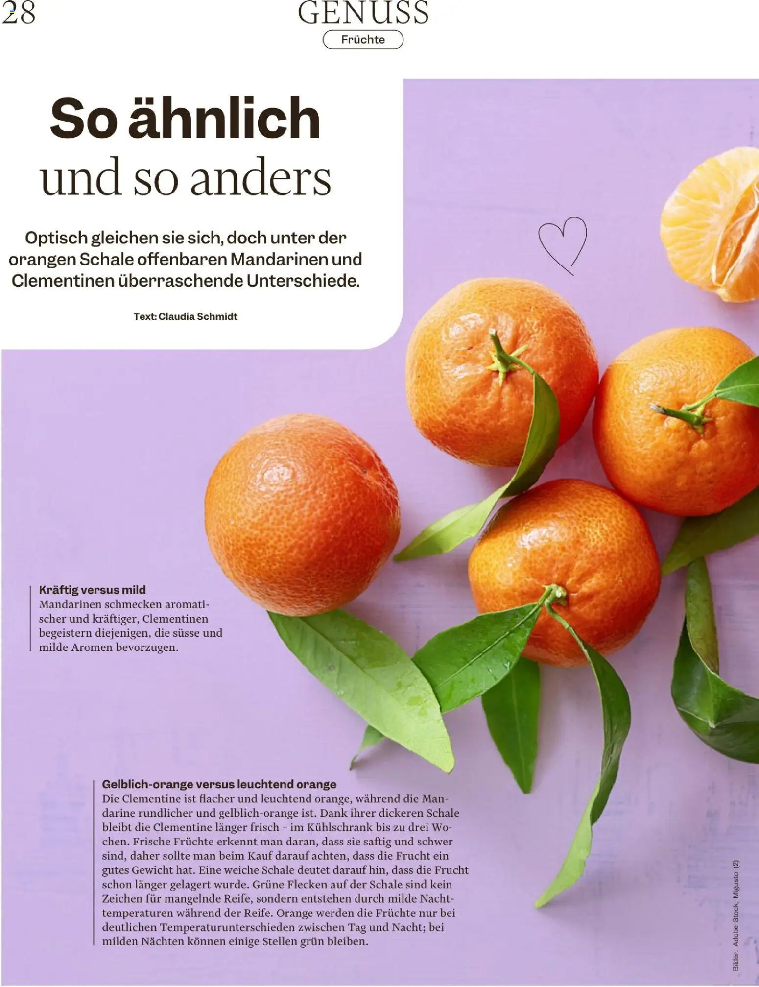 Migros Magazin – gültig ab 16.12.2025 | Seite: 28 | Produkte: Orangen, Mandarinen, Früchte, Kühlschrank