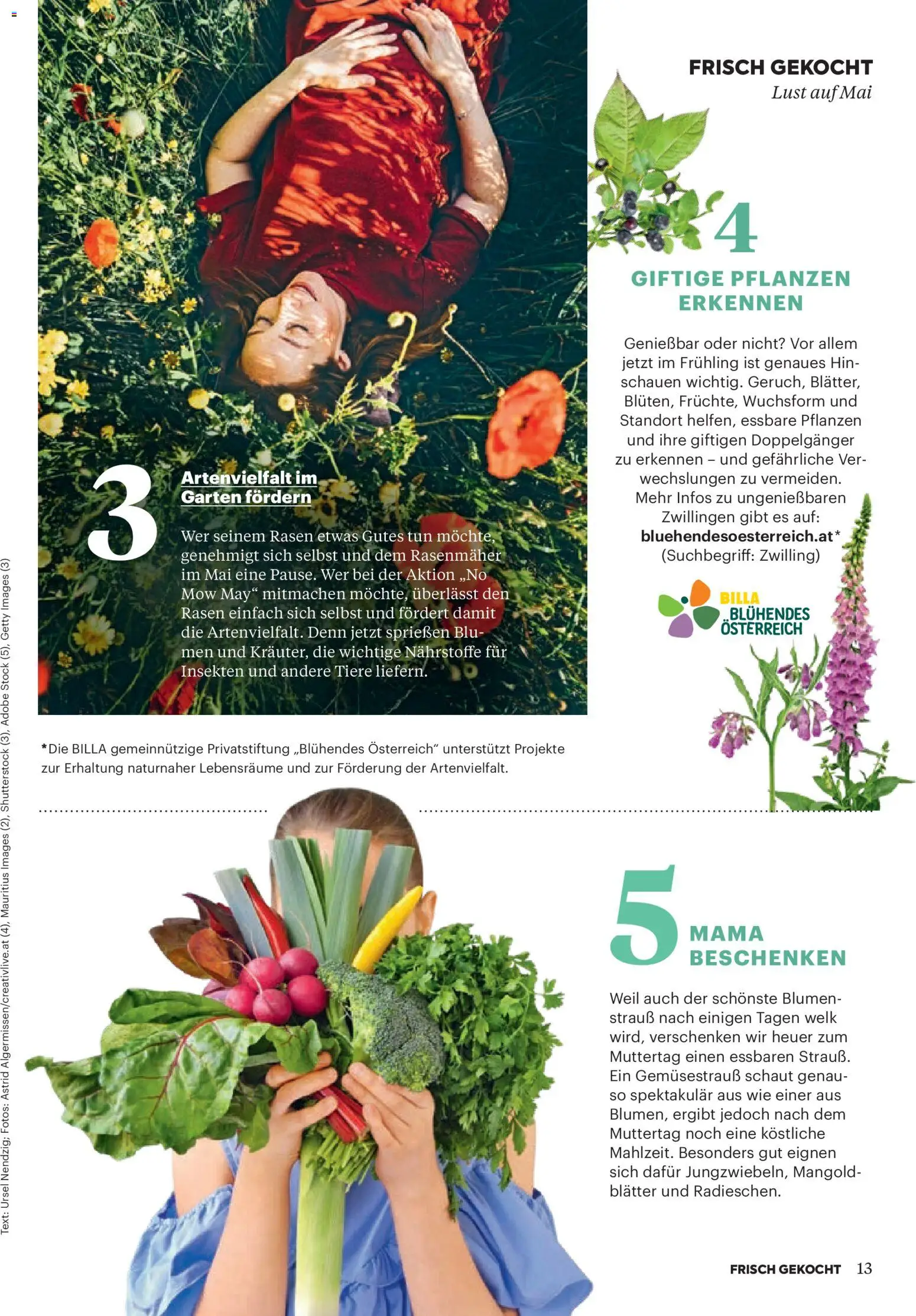 Billa Frisch Gekocht gültig ab 01.05.2026 | Seite: 13 | Produkte: Rasenmäher